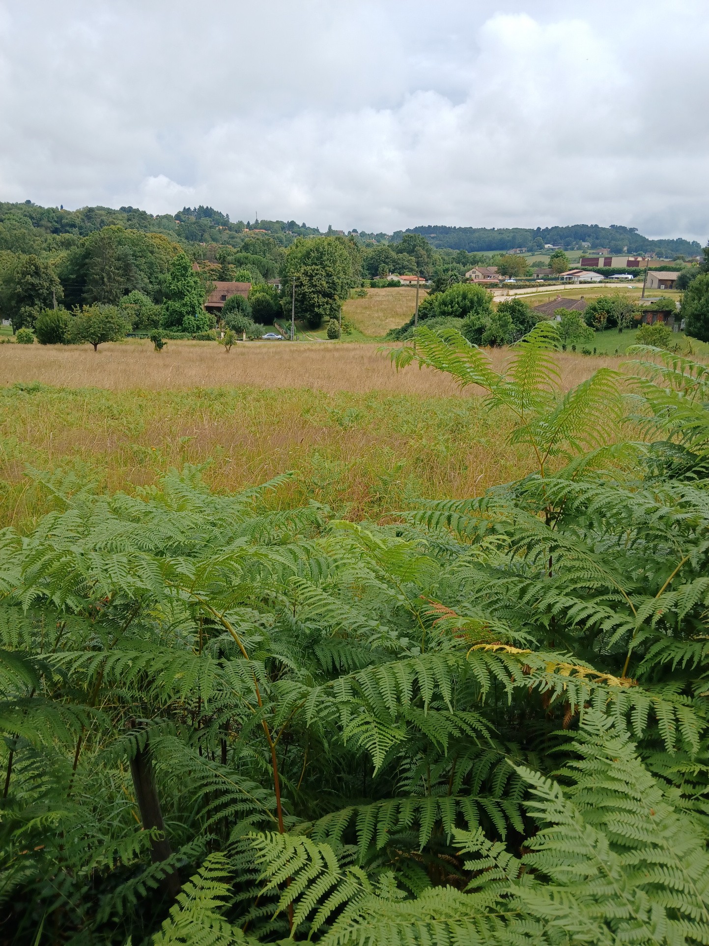 Vente Terrain à Sarlat-la-Canéda 0 pièce