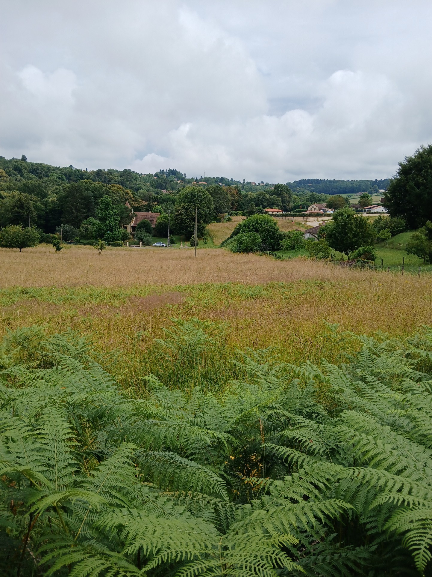 Vente Terrain à Sarlat-la-Canéda 0 pièce