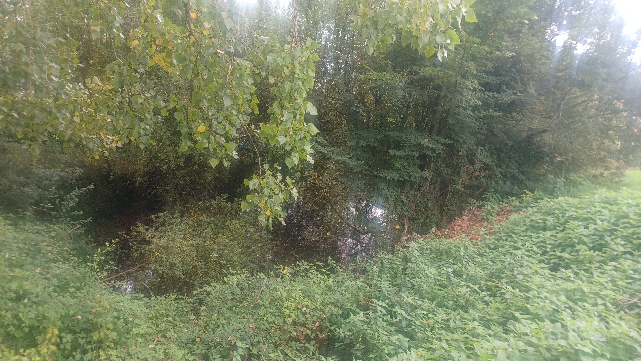 Vente Terrain à Sarlat-la-Canéda 0 pièce