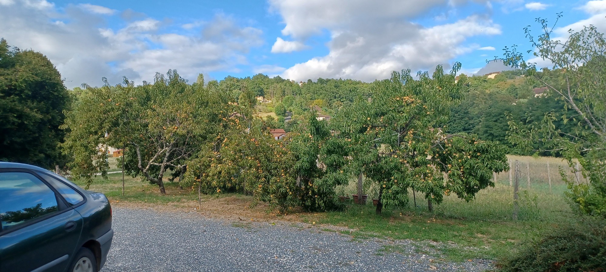 Vente Maison à Sarlat-la-Canéda 12 pièces