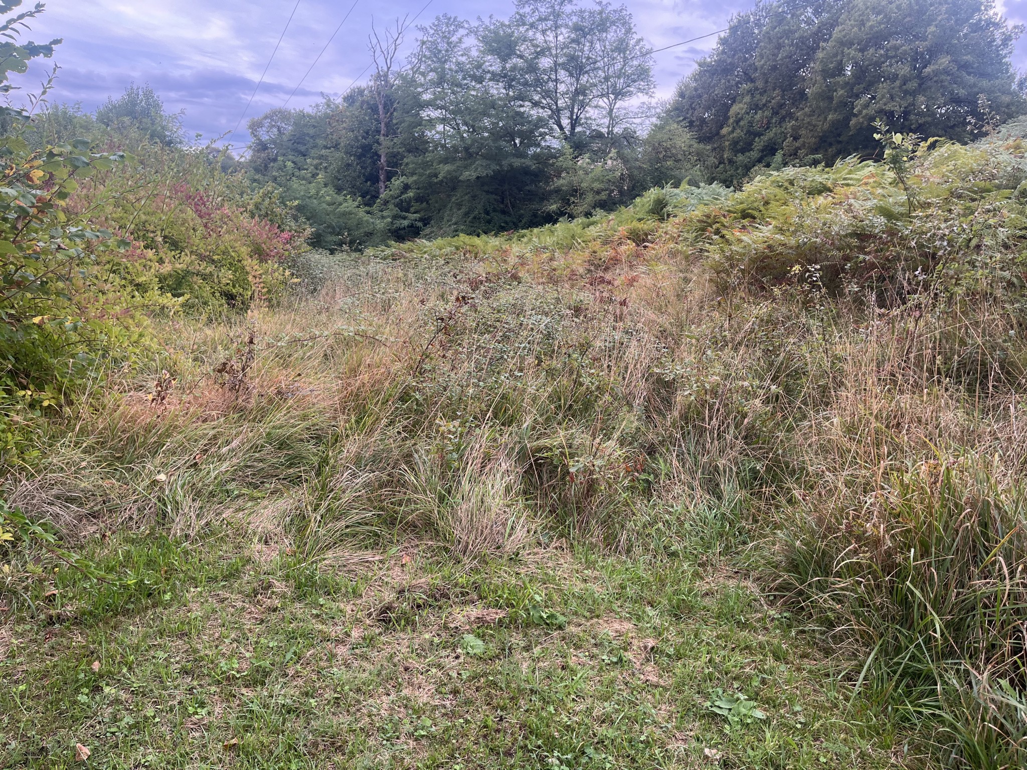 Vente Maison à Sarlat-la-Canéda 4 pièces