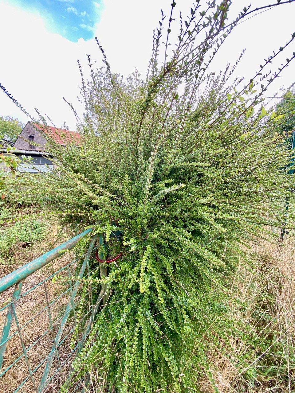 Vente Maison à Aulnoye-Aymeries 5 pièces