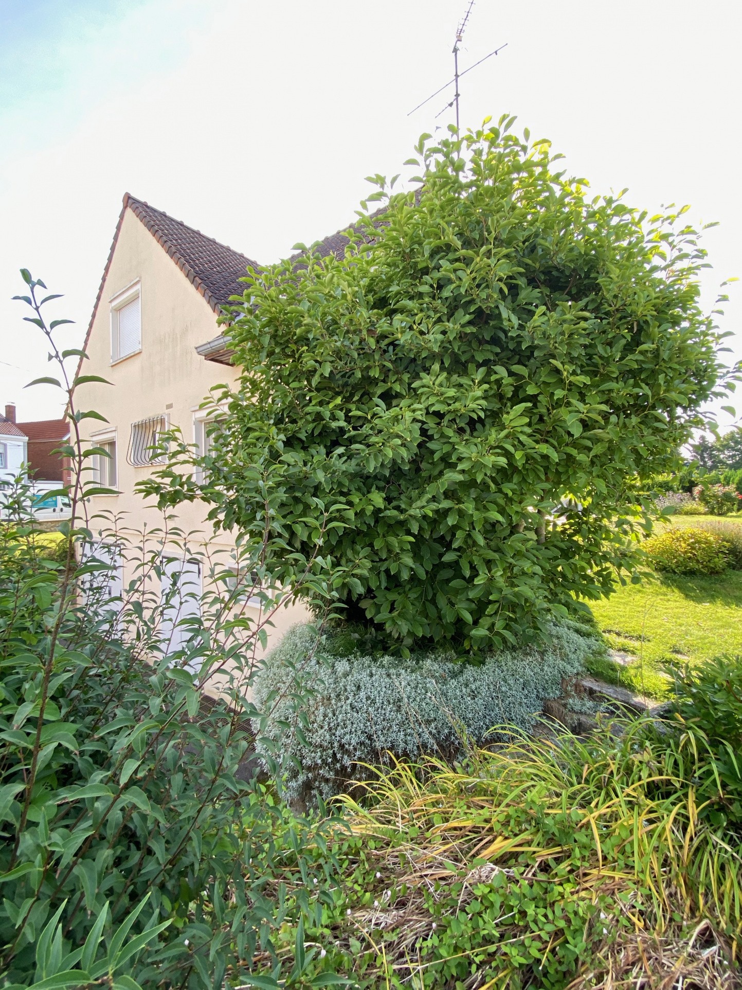 Vente Maison à Jeumont 8 pièces