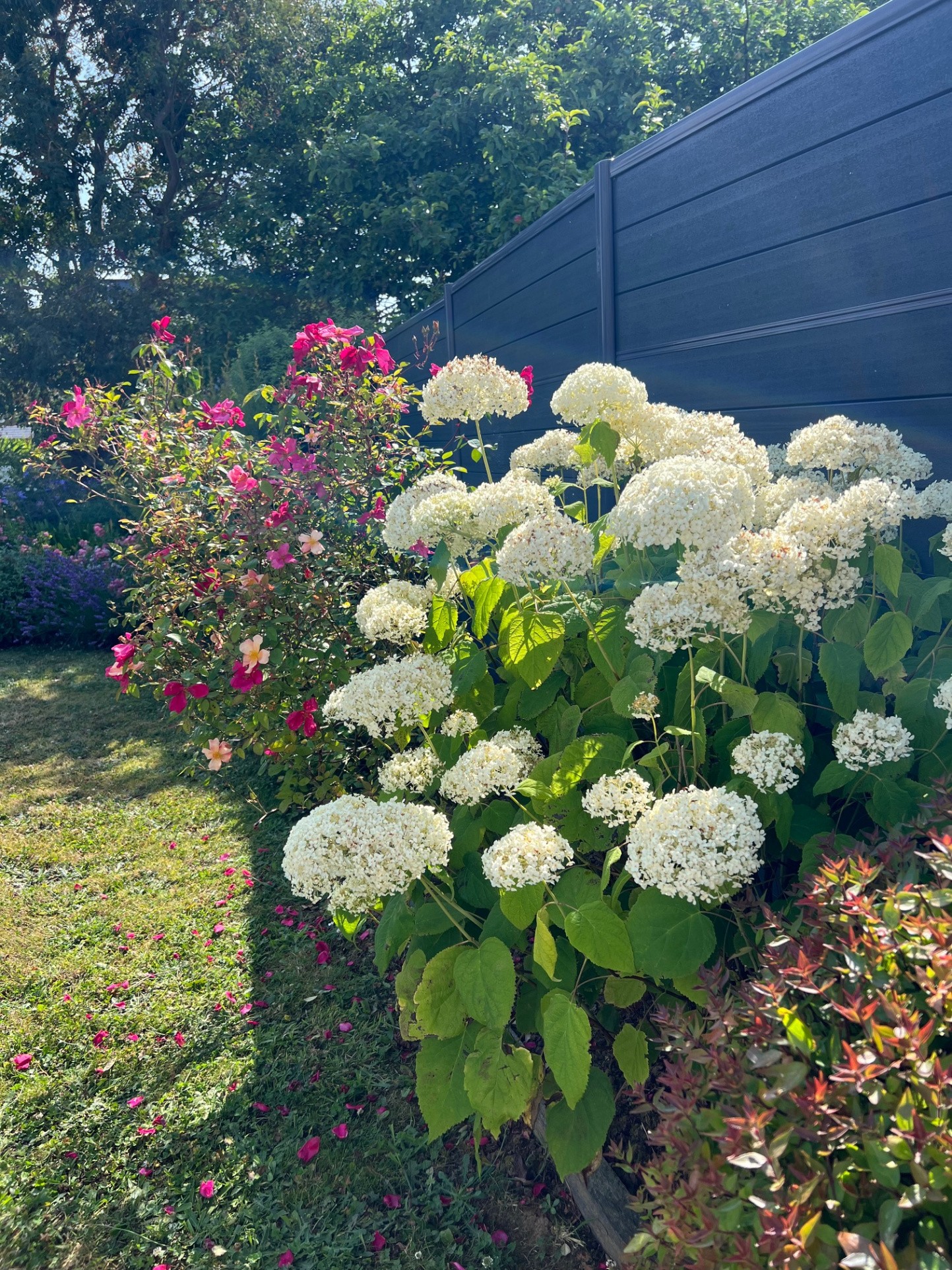 Vente Maison à Pléneuf-Val-André 5 pièces