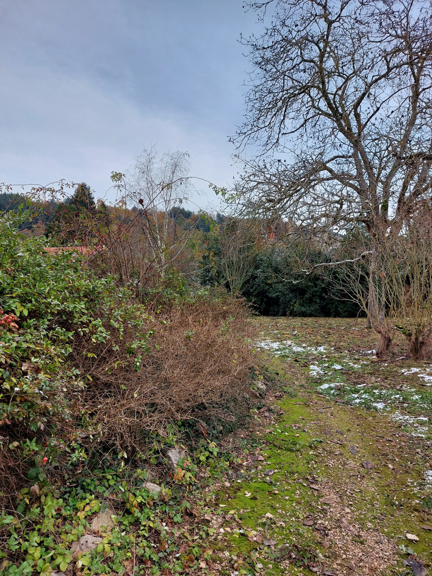 Vente Maison à Vichy 5 pièces