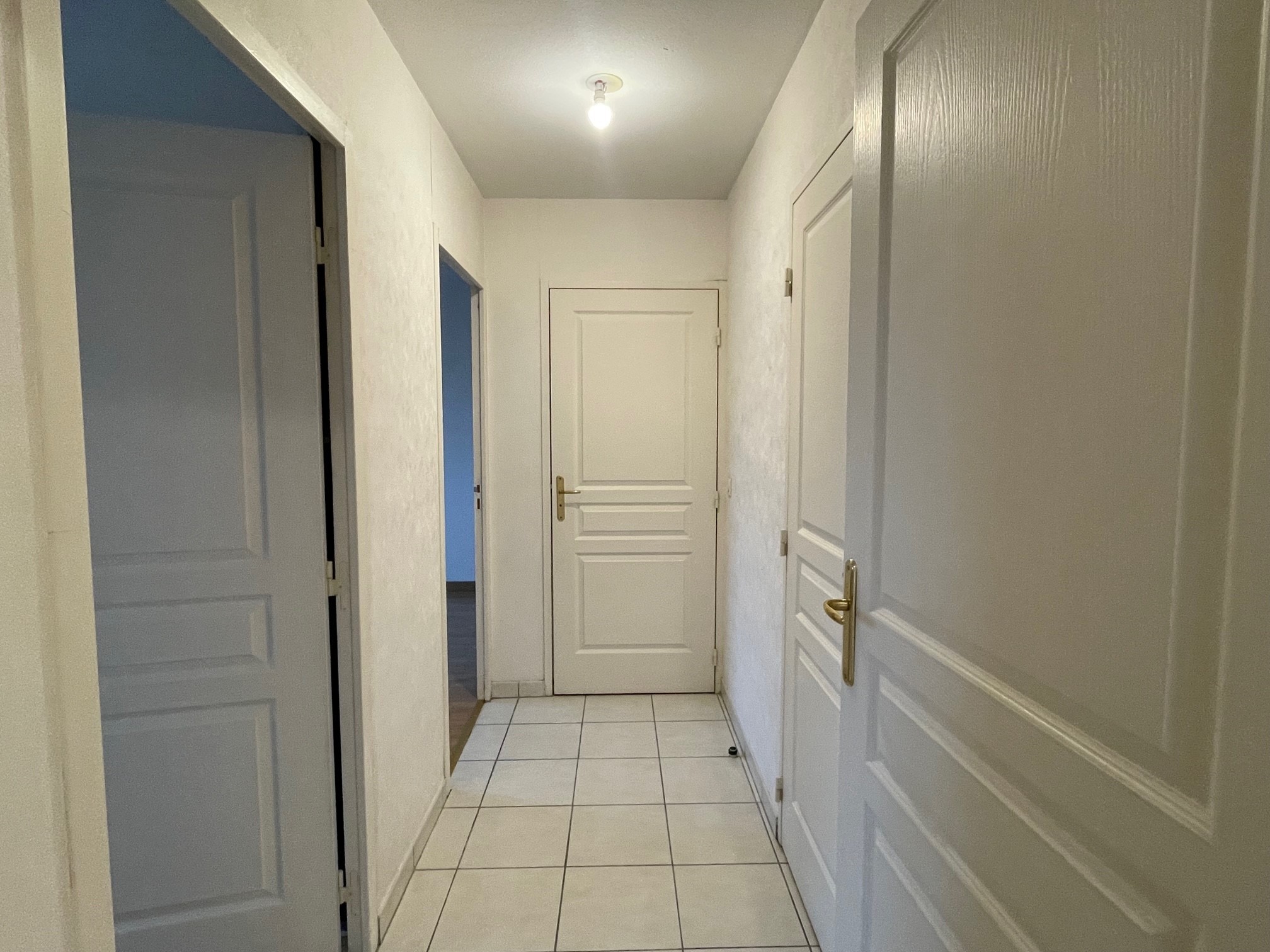 Vente Appartement à Échirolles 3 pièces