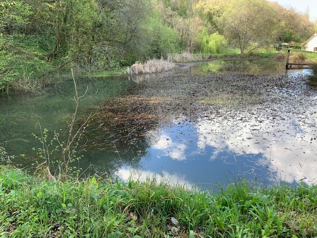 Vente Terrain à Argenton-sur-Creuse 0 pièce