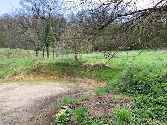 Vente Terrain à Argenton-sur-Creuse 0 pièce