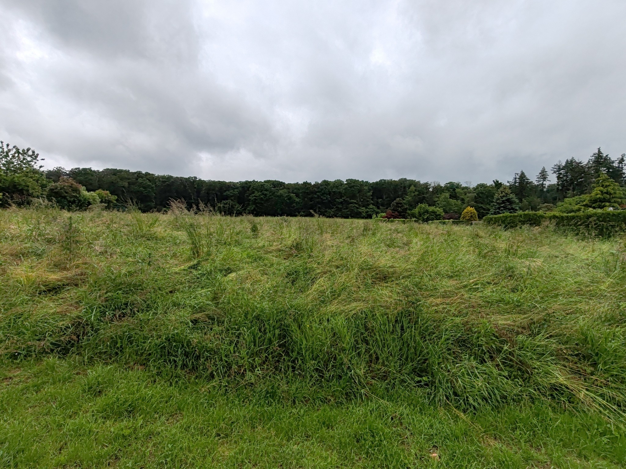 Vente Terrain à Crépy-en-Valois 0 pièce