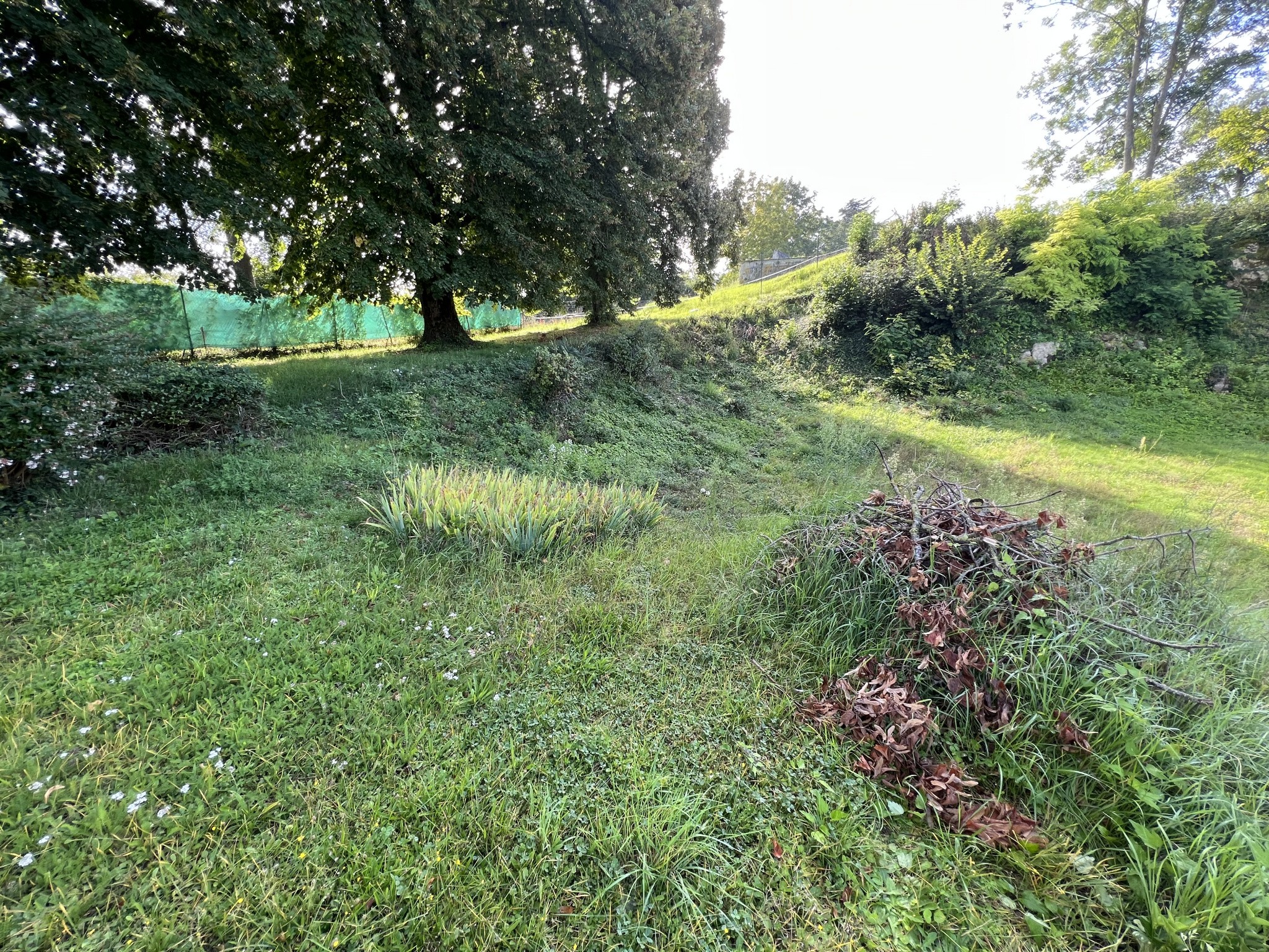 Vente Terrain à Villers-Cotterêts 0 pièce