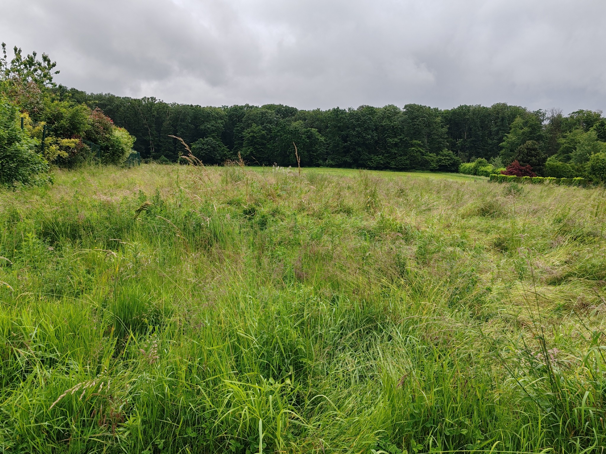 Vente Terrain à Crépy-en-Valois 0 pièce