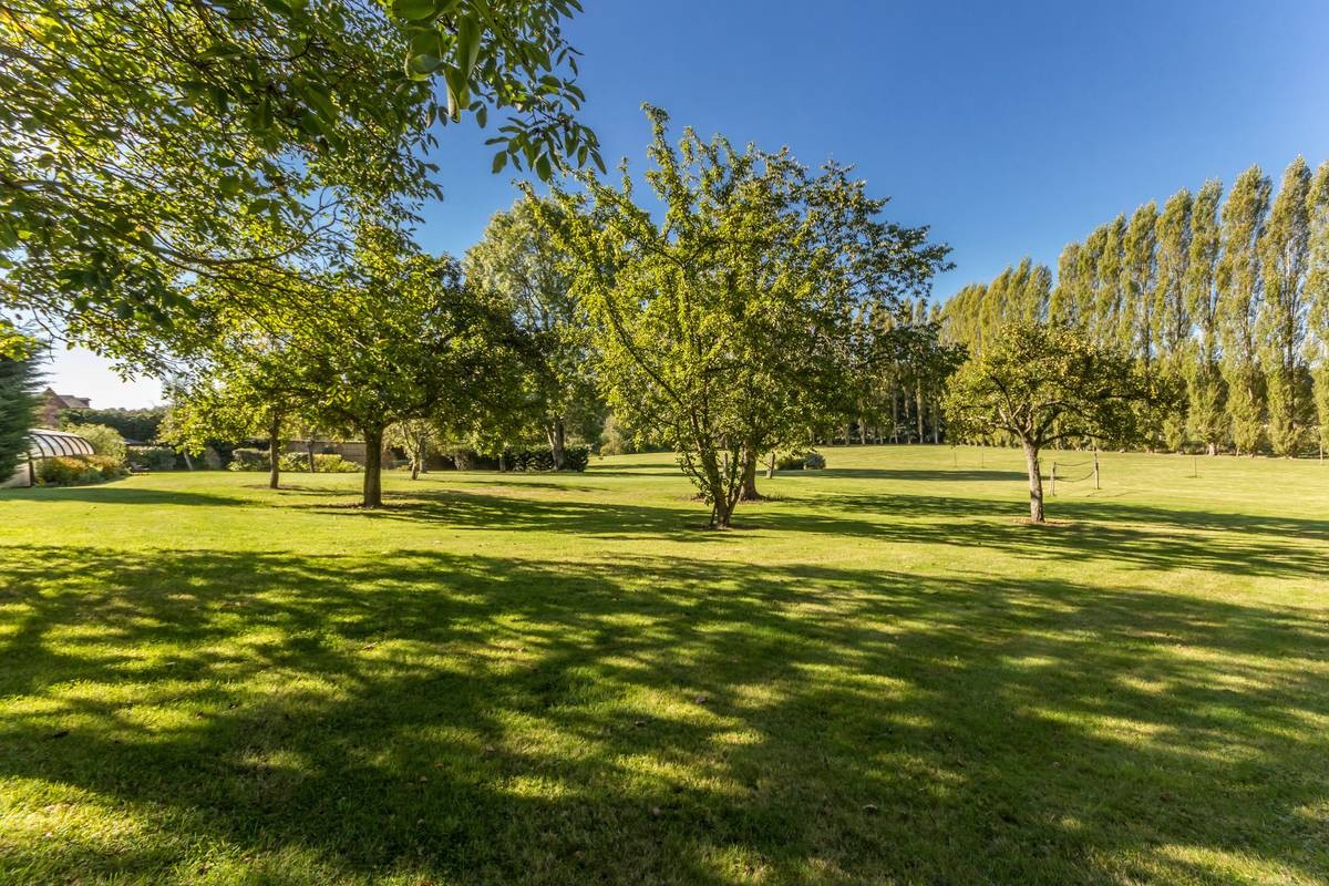 Vente Maison à Pont-l'Évêque 12 pièces