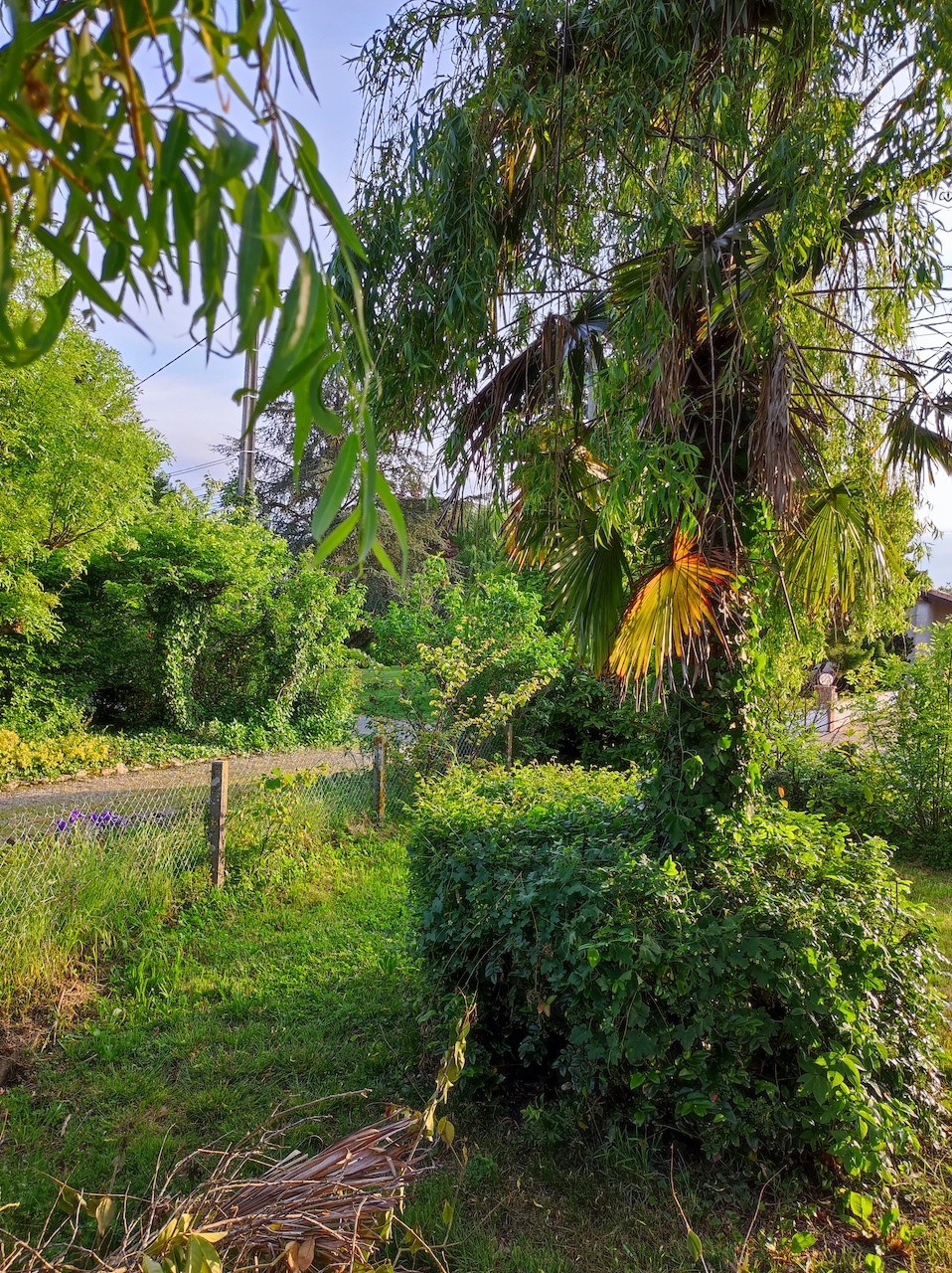 Vente Maison à Langon 8 pièces