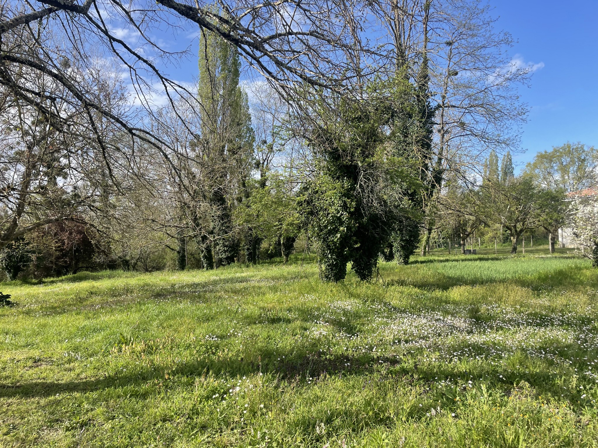 Vente Terrain à Barsac 0 pièce