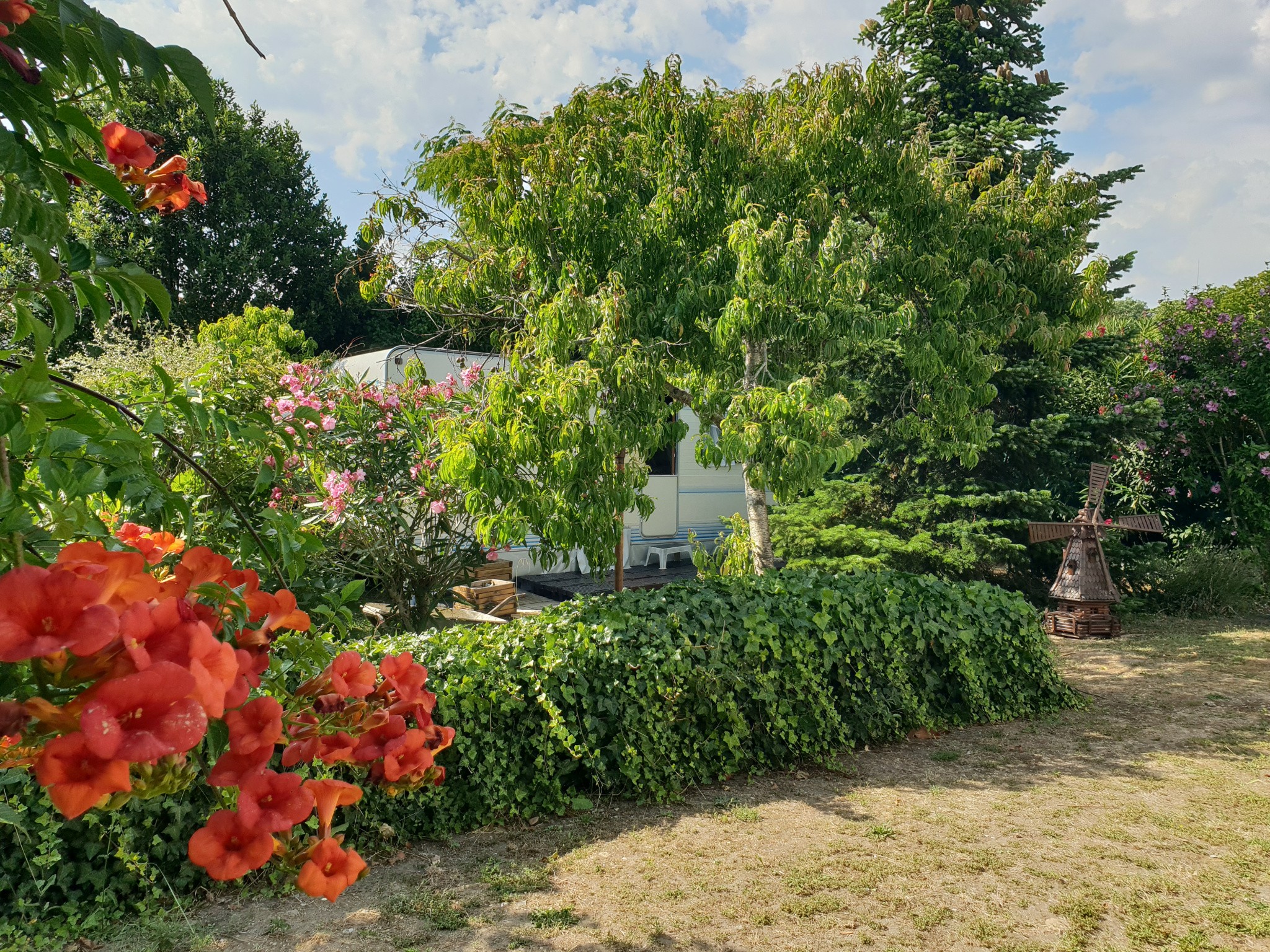 Vente Maison à Saint-Michel-en-l'Herm 3 pièces