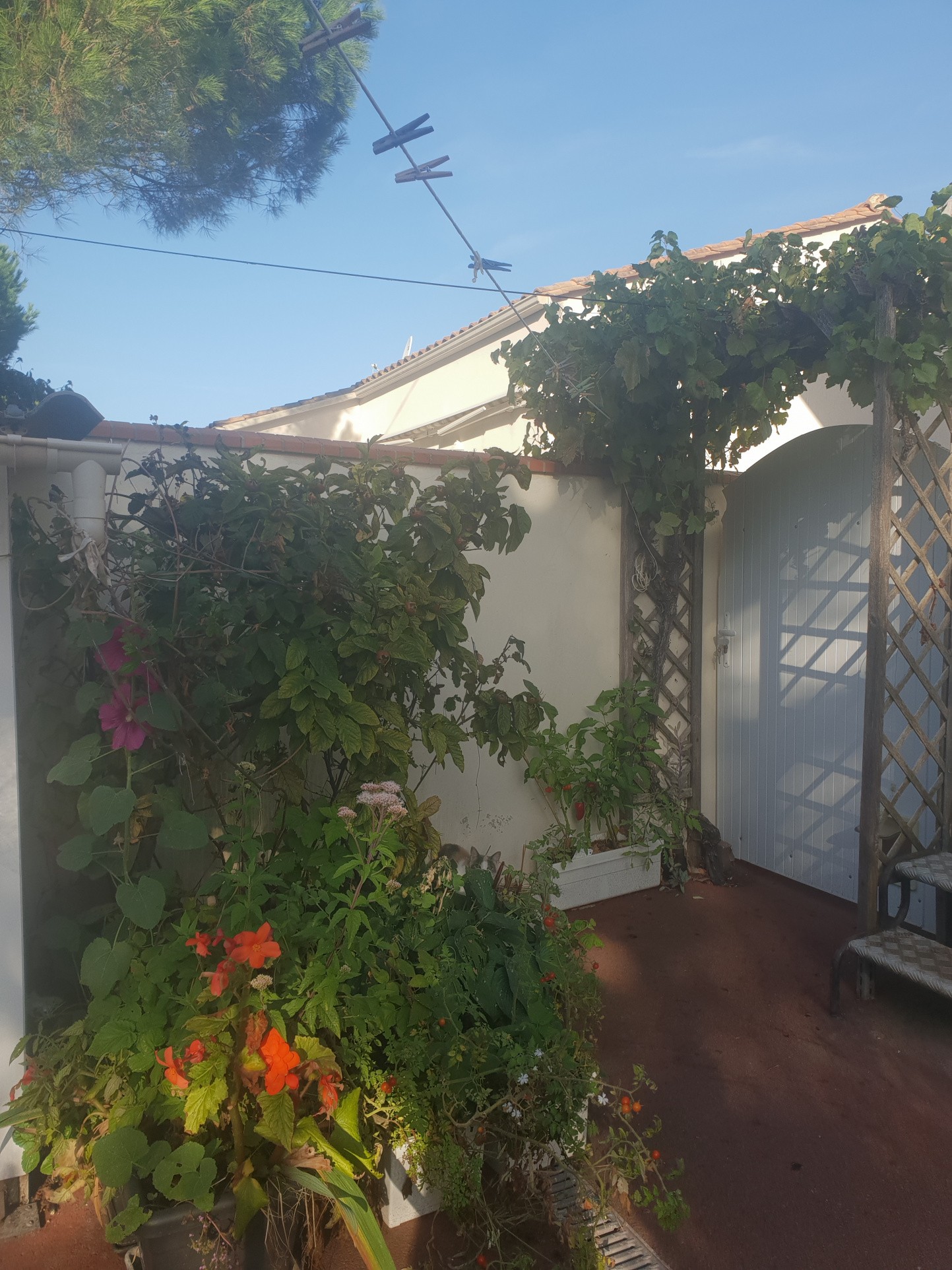 Vente Maison à la Tranche-sur-Mer 5 pièces