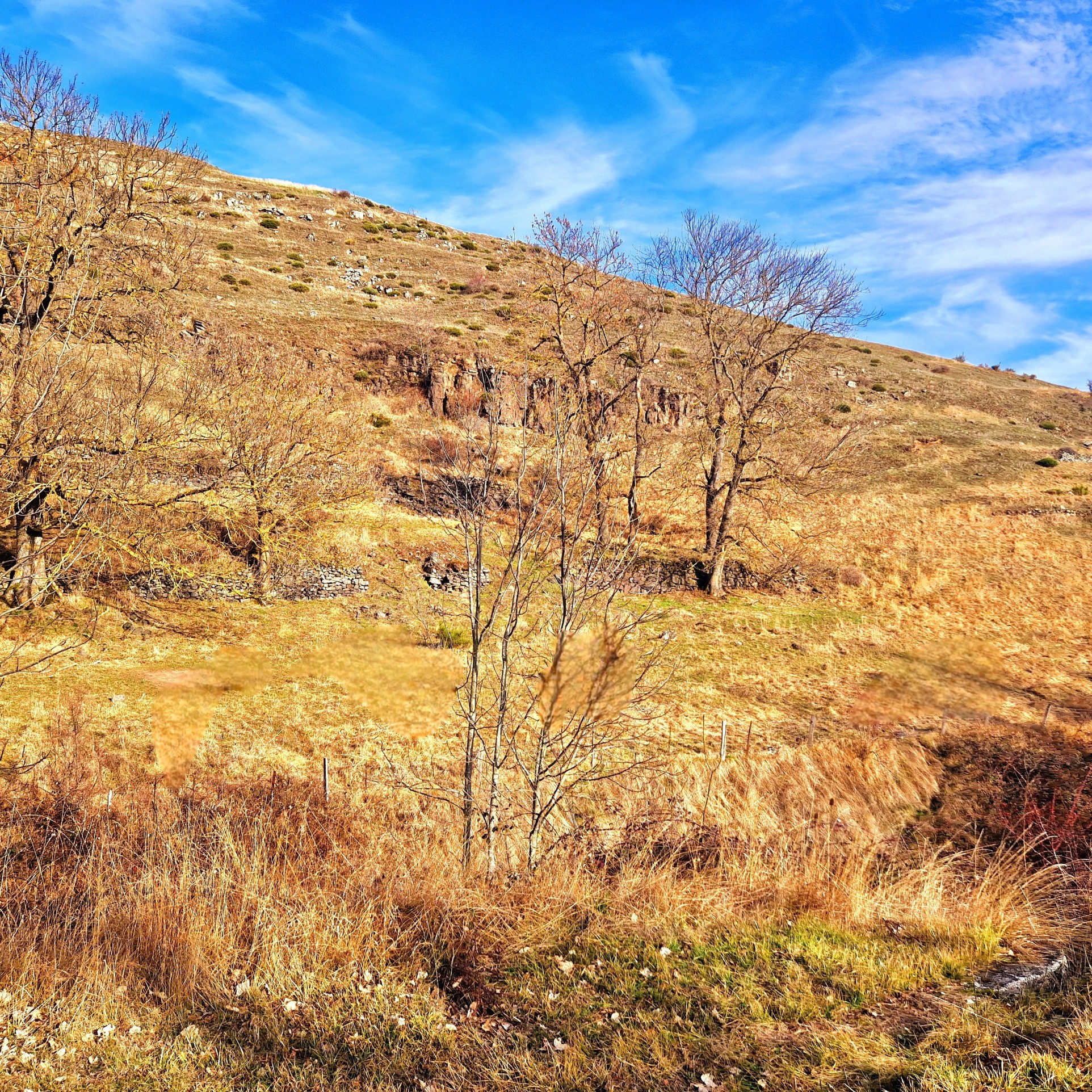 Vente Terrain à le Monastier-sur-Gazeille 0 pièce