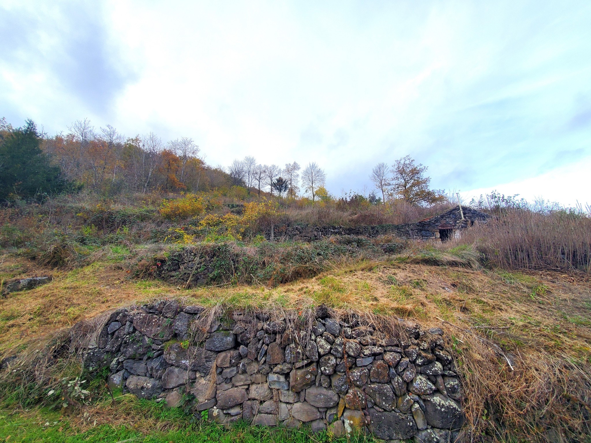 Vente Terrain à Ceyssac 0 pièce