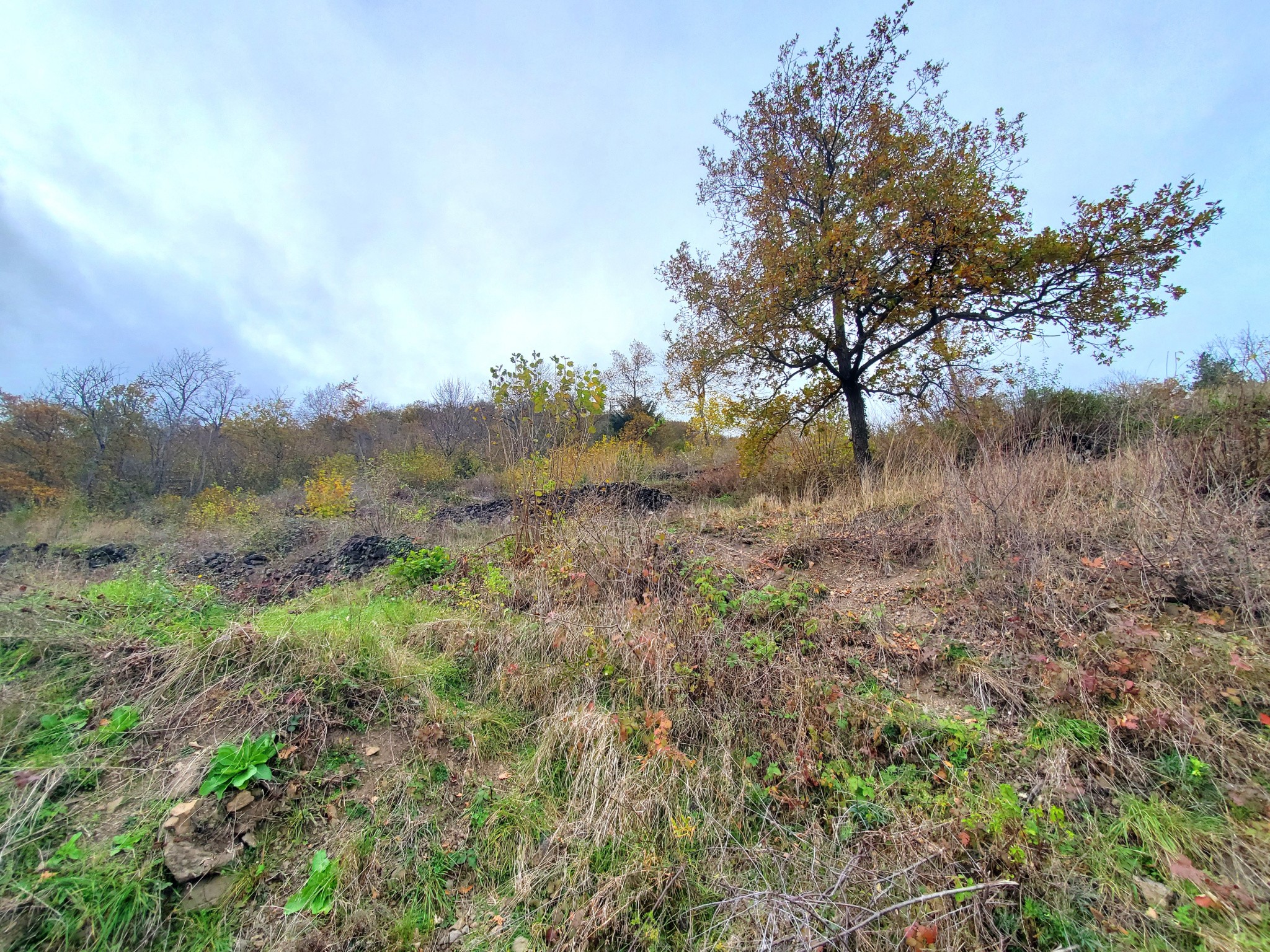 Vente Terrain à Ceyssac 0 pièce