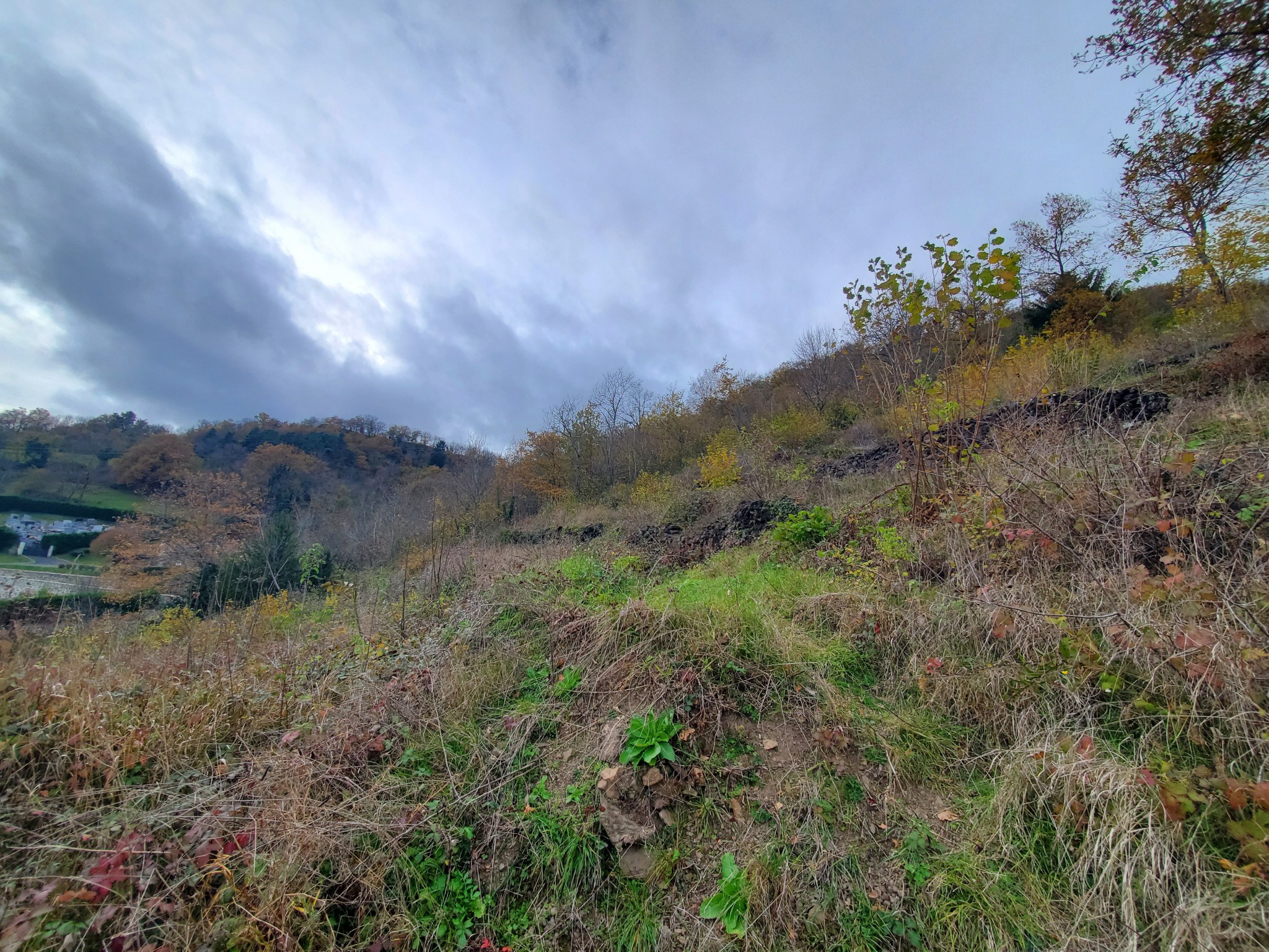 Vente Terrain à Ceyssac 0 pièce