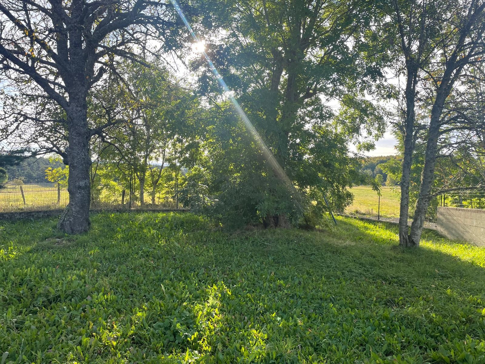 Vente Maison à Châteauneuf-de-Randon 6 pièces