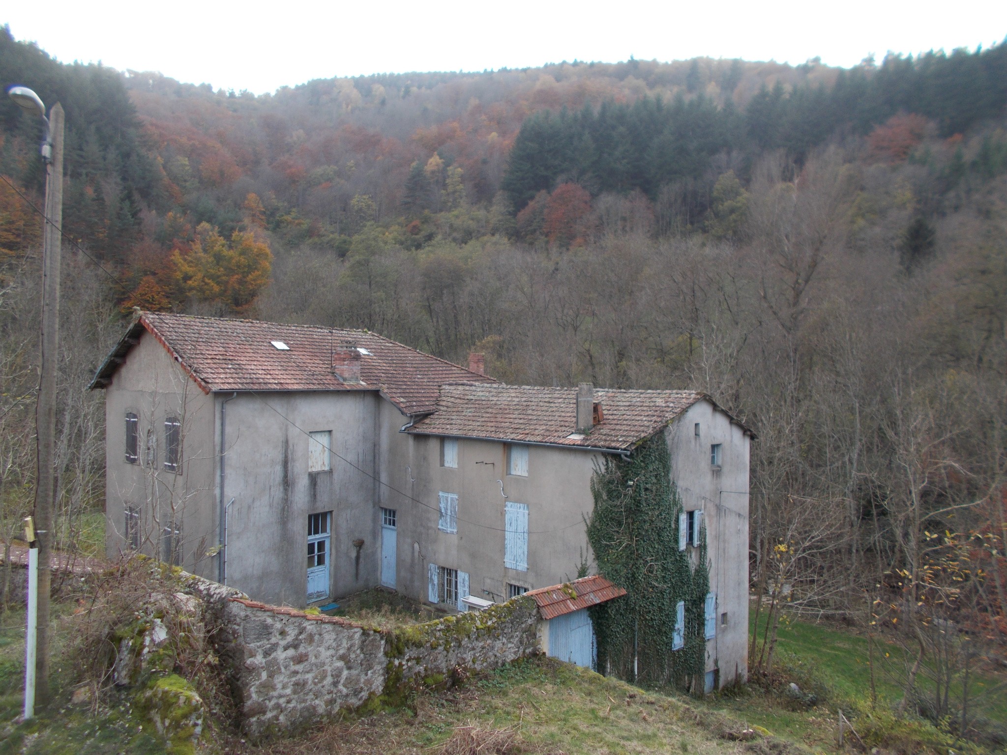 Vente Maison à Saint-Pierre-sur-Doux 12 pièces