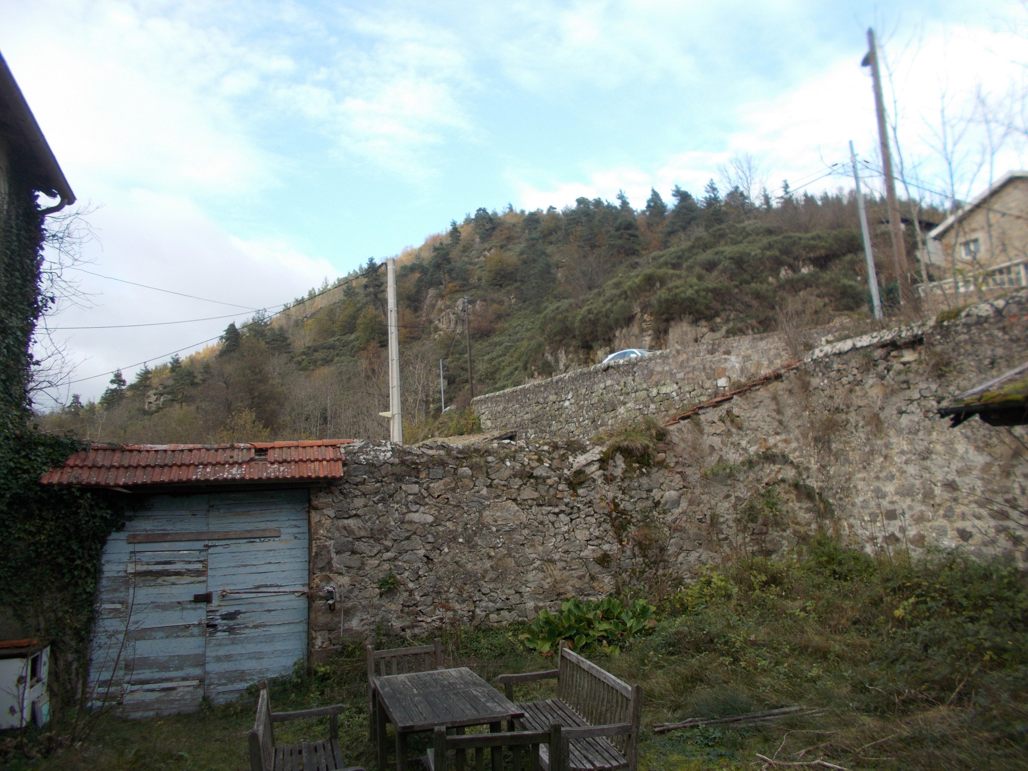 Vente Maison à Saint-Pierre-sur-Doux 12 pièces