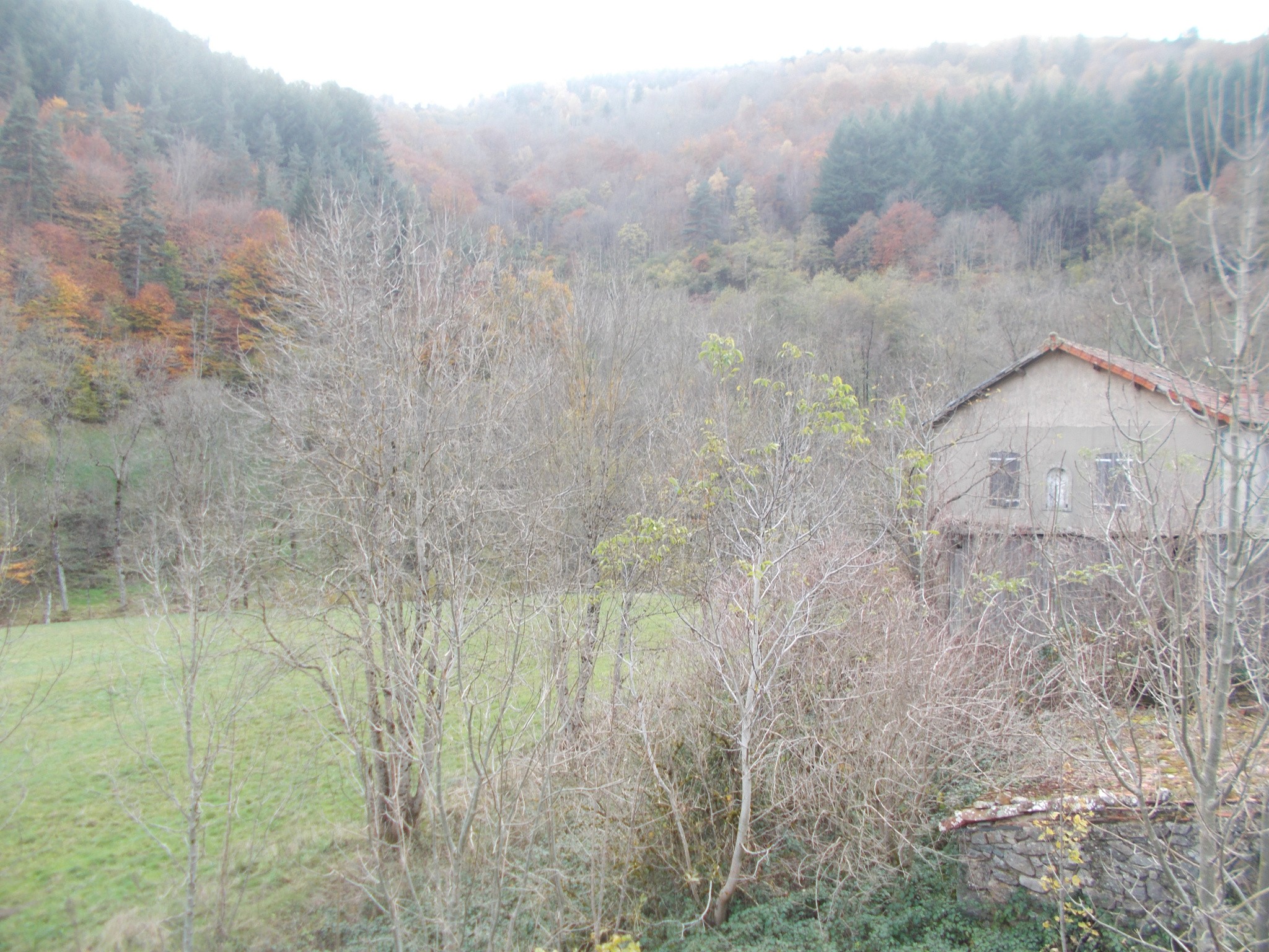 Vente Maison à Saint-Pierre-sur-Doux 12 pièces