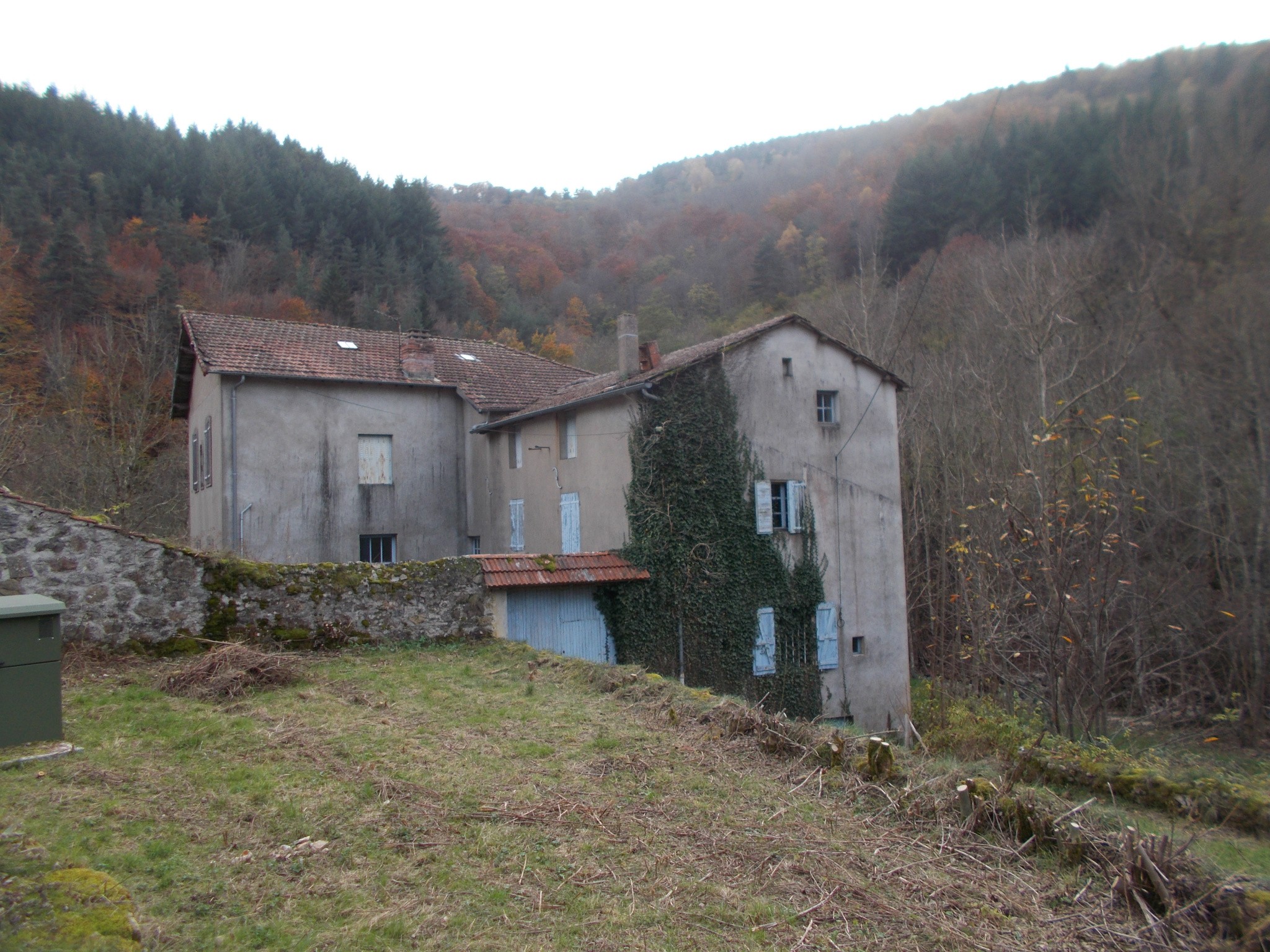 Vente Maison à Saint-Pierre-sur-Doux 12 pièces