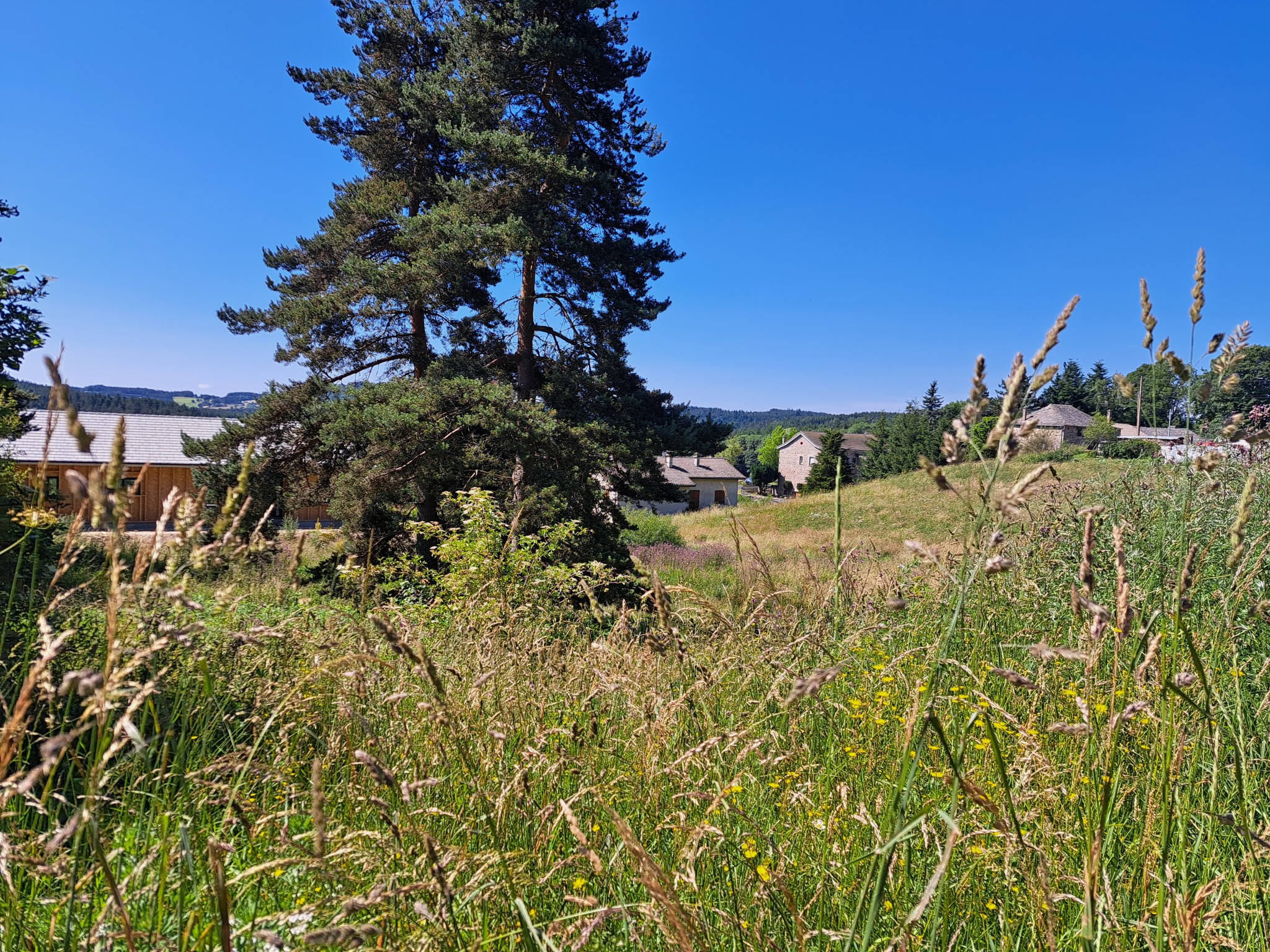 Vente Terrain à le Chambon-sur-Lignon 0 pièce