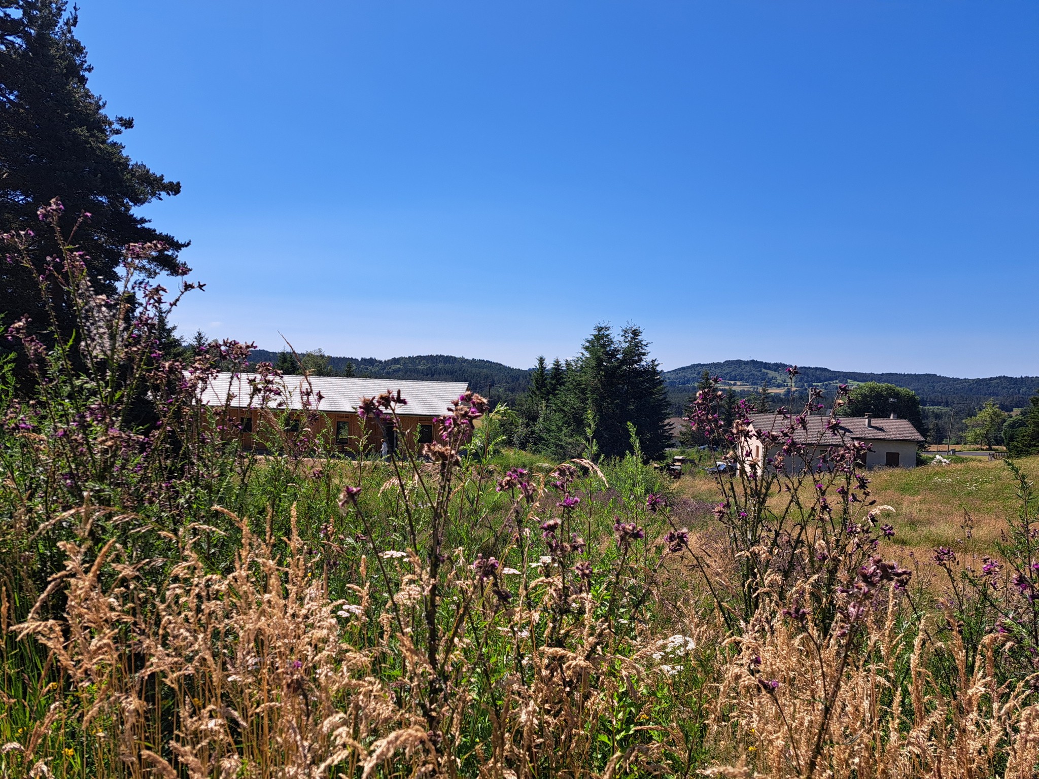 Vente Terrain à le Chambon-sur-Lignon 0 pièce