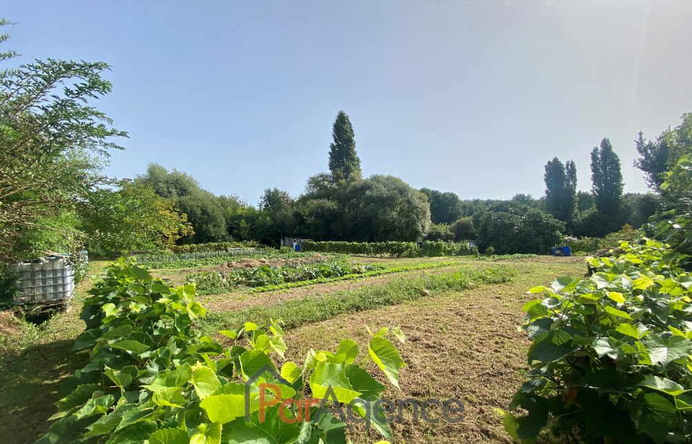 Vente Terrain à Vaux-sur-Mer 0 pièce