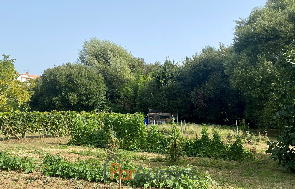 Vente Terrain à Vaux-sur-Mer 0 pièce