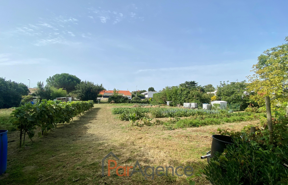 Vente Terrain à Vaux-sur-Mer 0 pièce