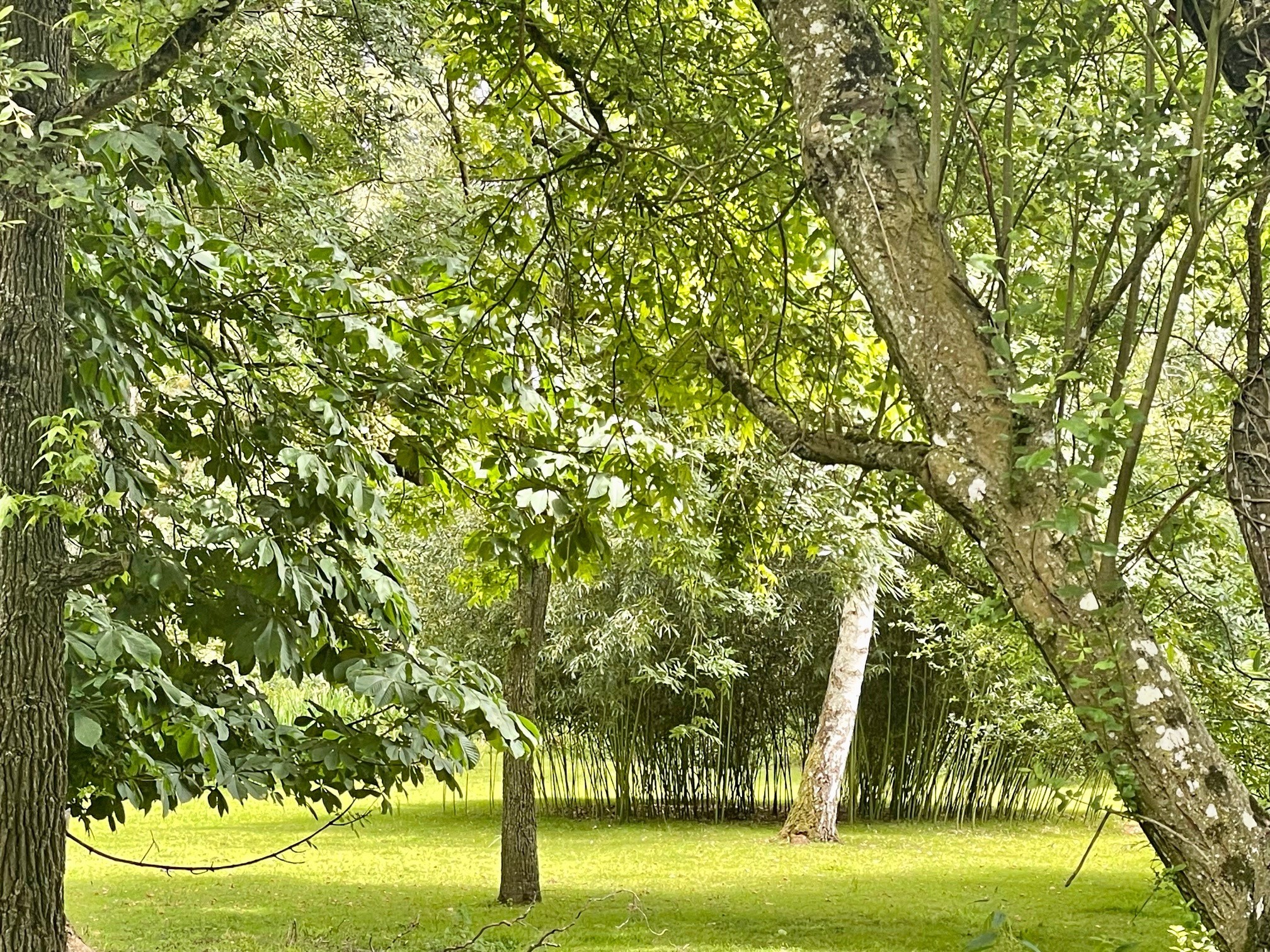 Vente Maison à Noyen-sur-Sarthe 6 pièces