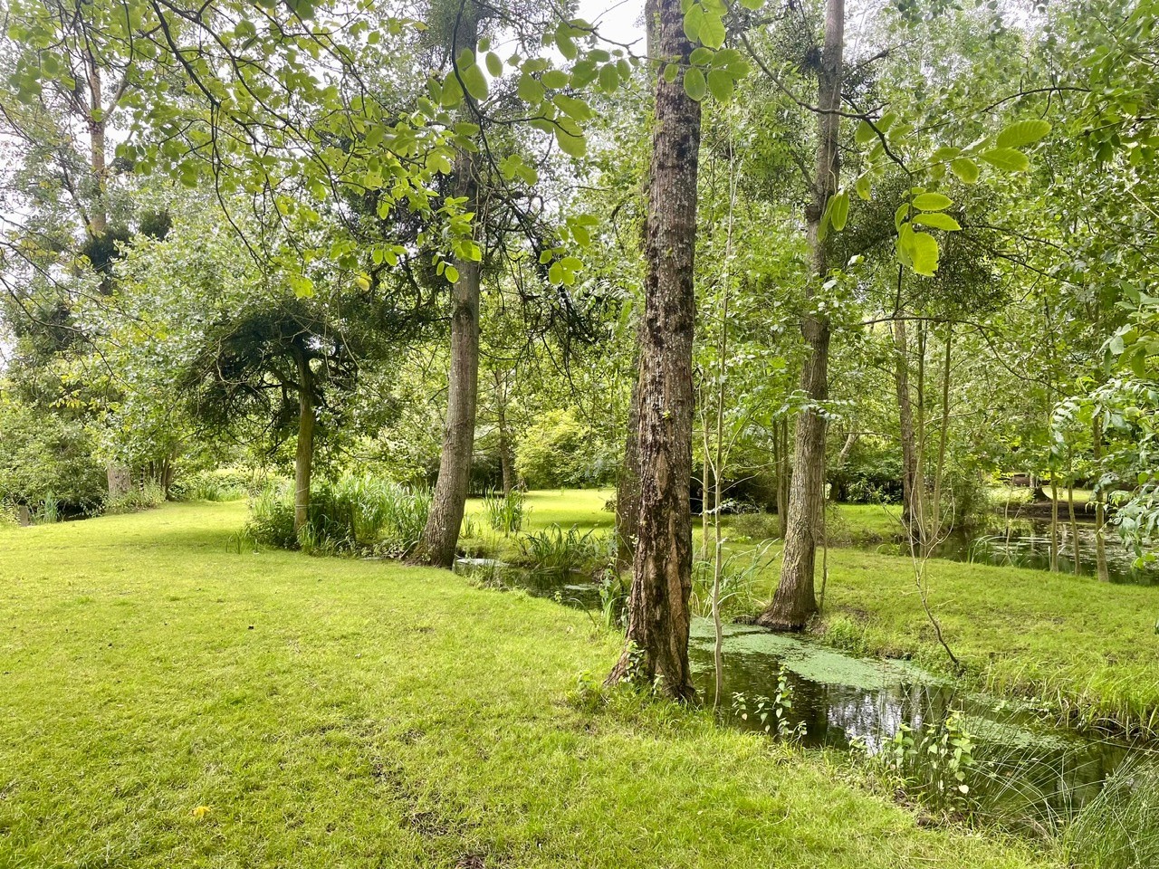 Vente Maison à Noyen-sur-Sarthe 6 pièces