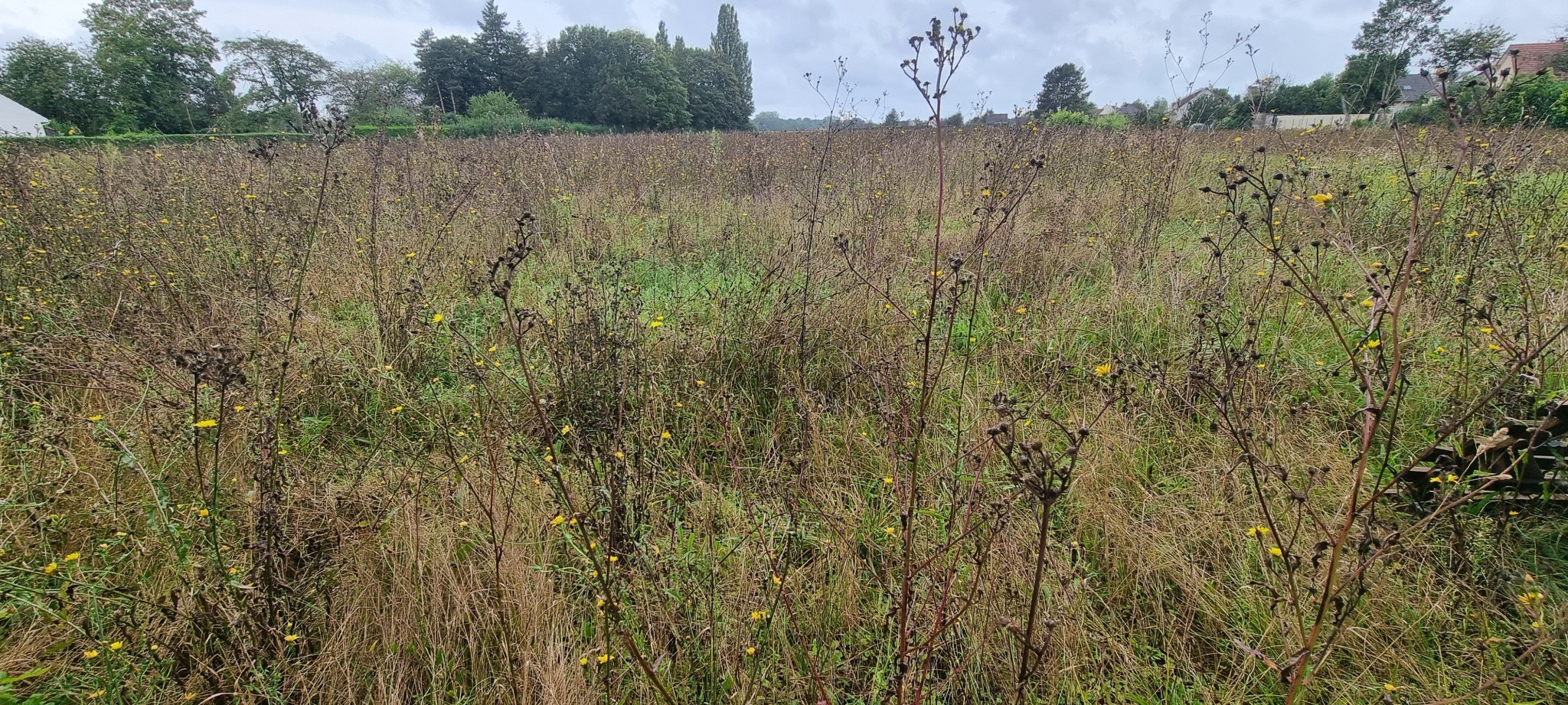 Vente Terrain à Courlon-sur-Yonne 0 pièce