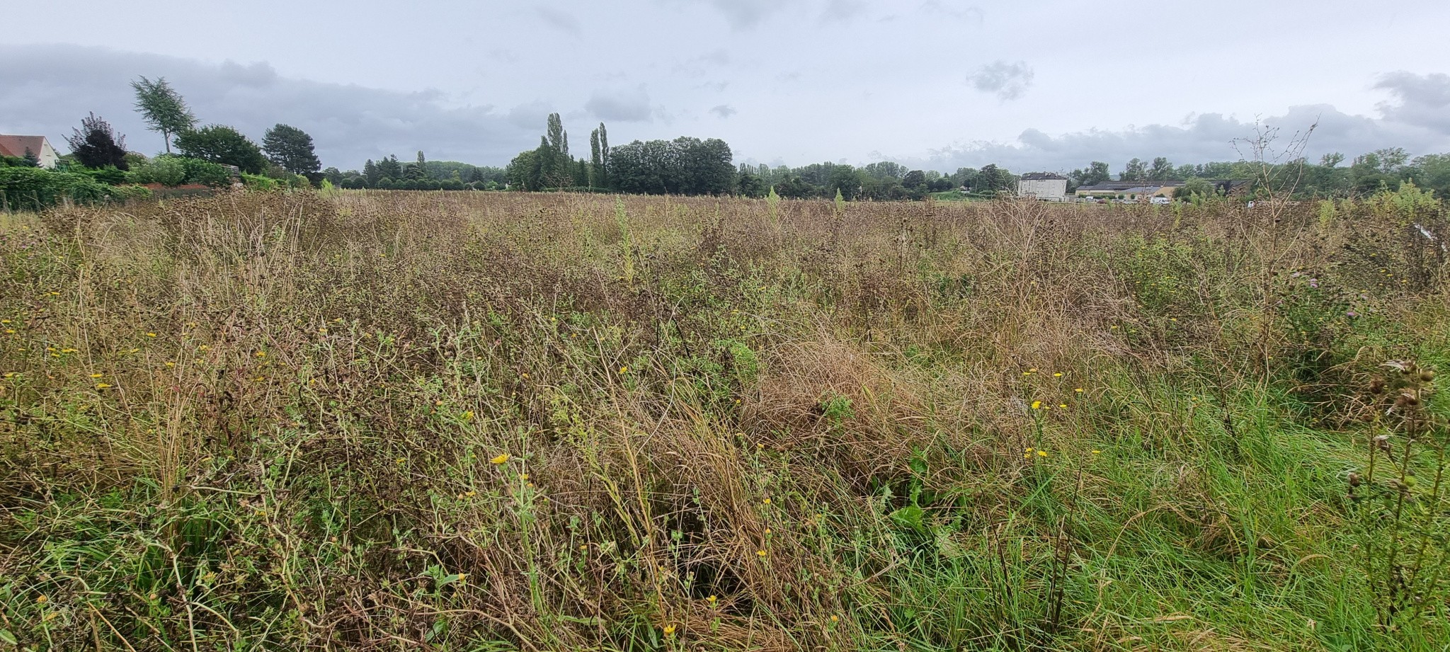 Vente Terrain à Courlon-sur-Yonne 0 pièce