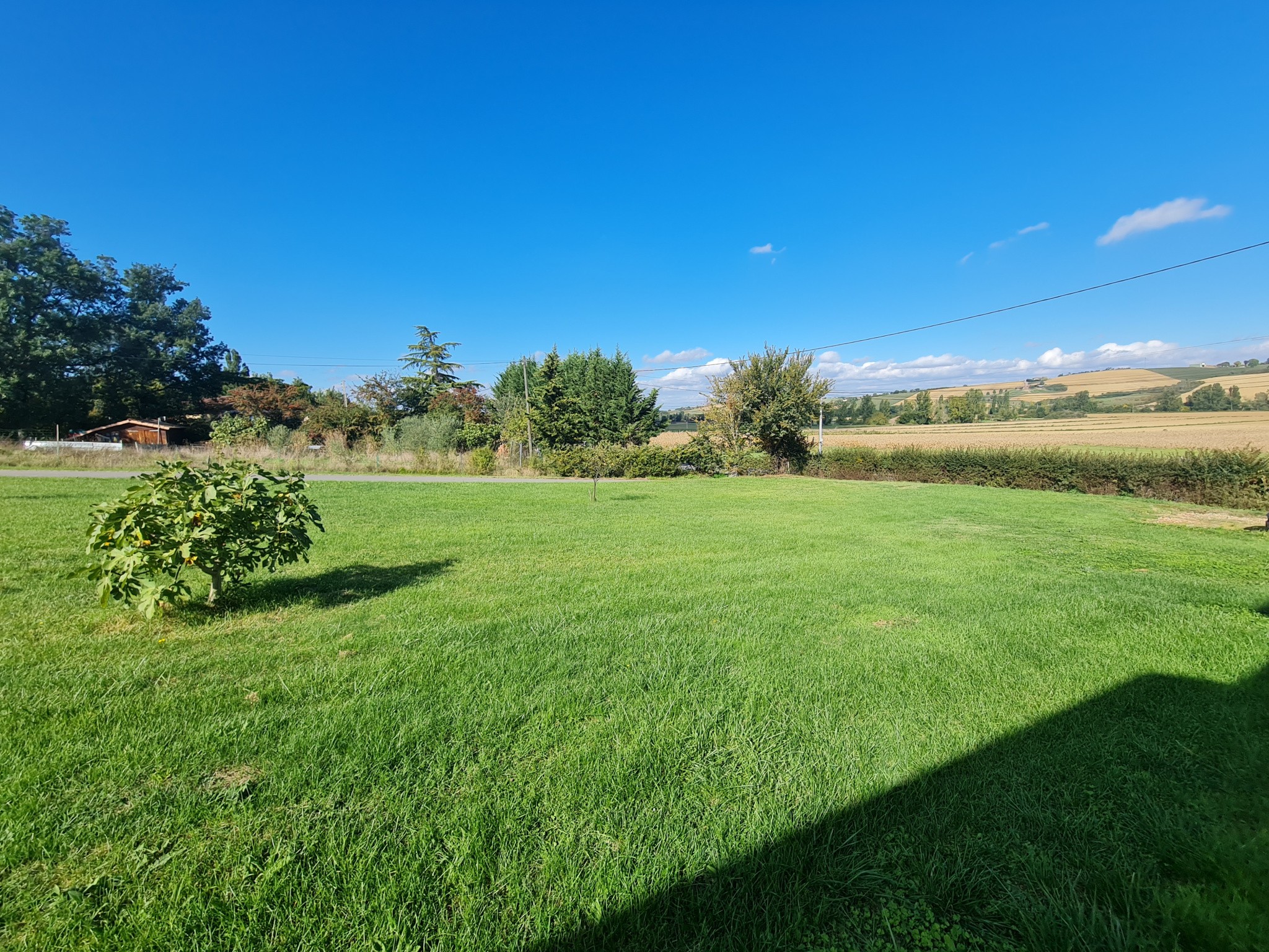 Vente Terrain à Saint-Sulpice-sur-Lèze 0 pièce