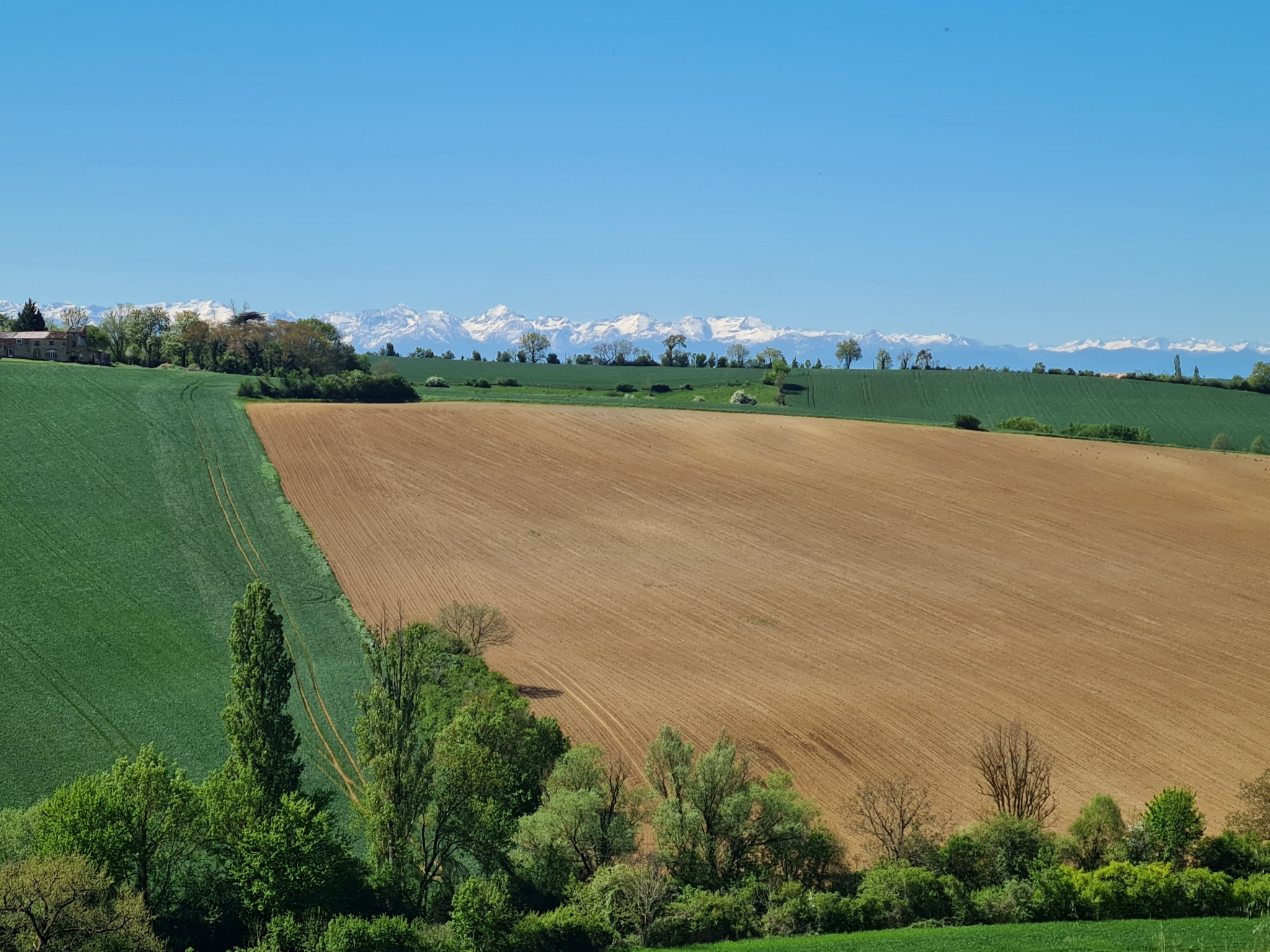 Vente Maison à Saint-Sulpice-sur-Lèze 15 pièces