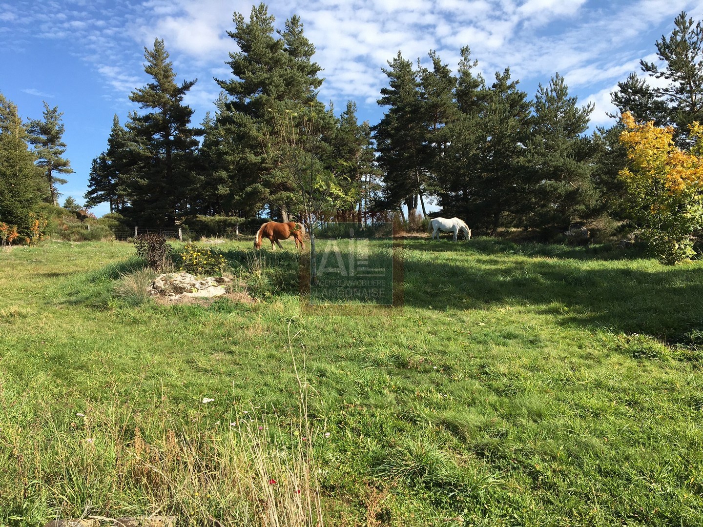 Vente Maison à Chaudeyrac 4 pièces