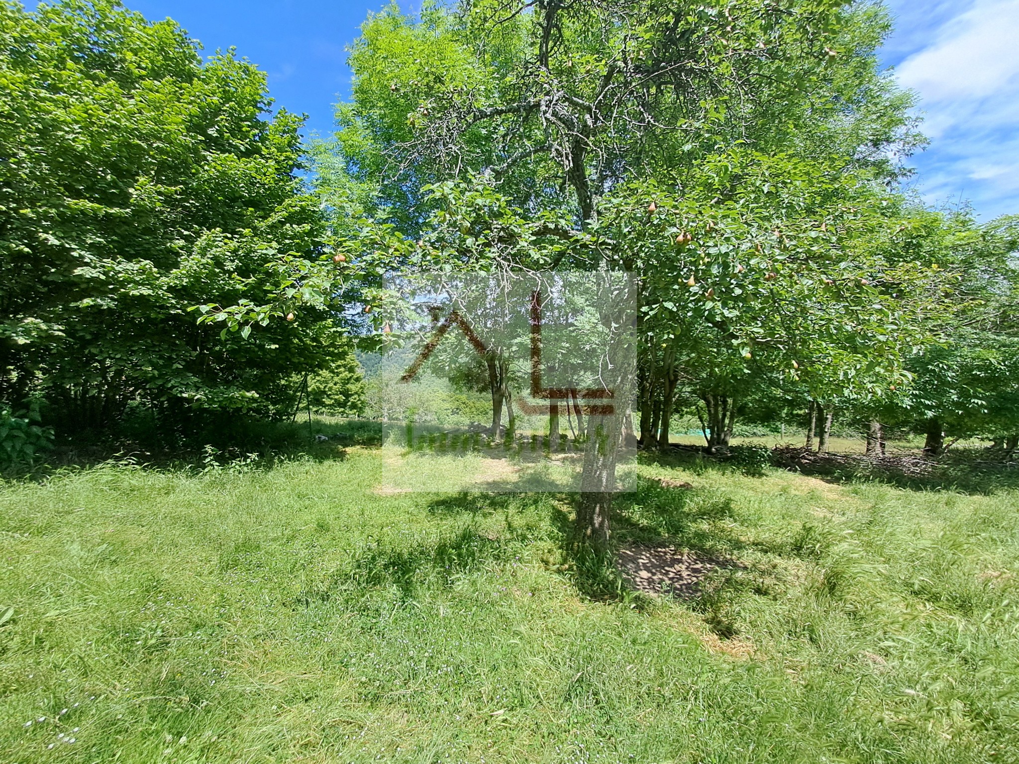 Vente Terrain à Pourcharesses 0 pièce