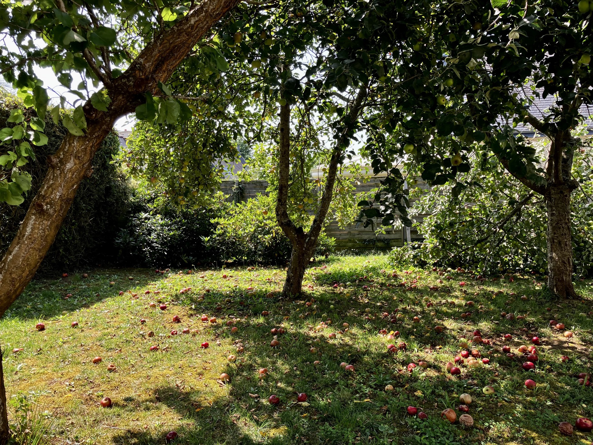 Vente Maison à Brech 5 pièces