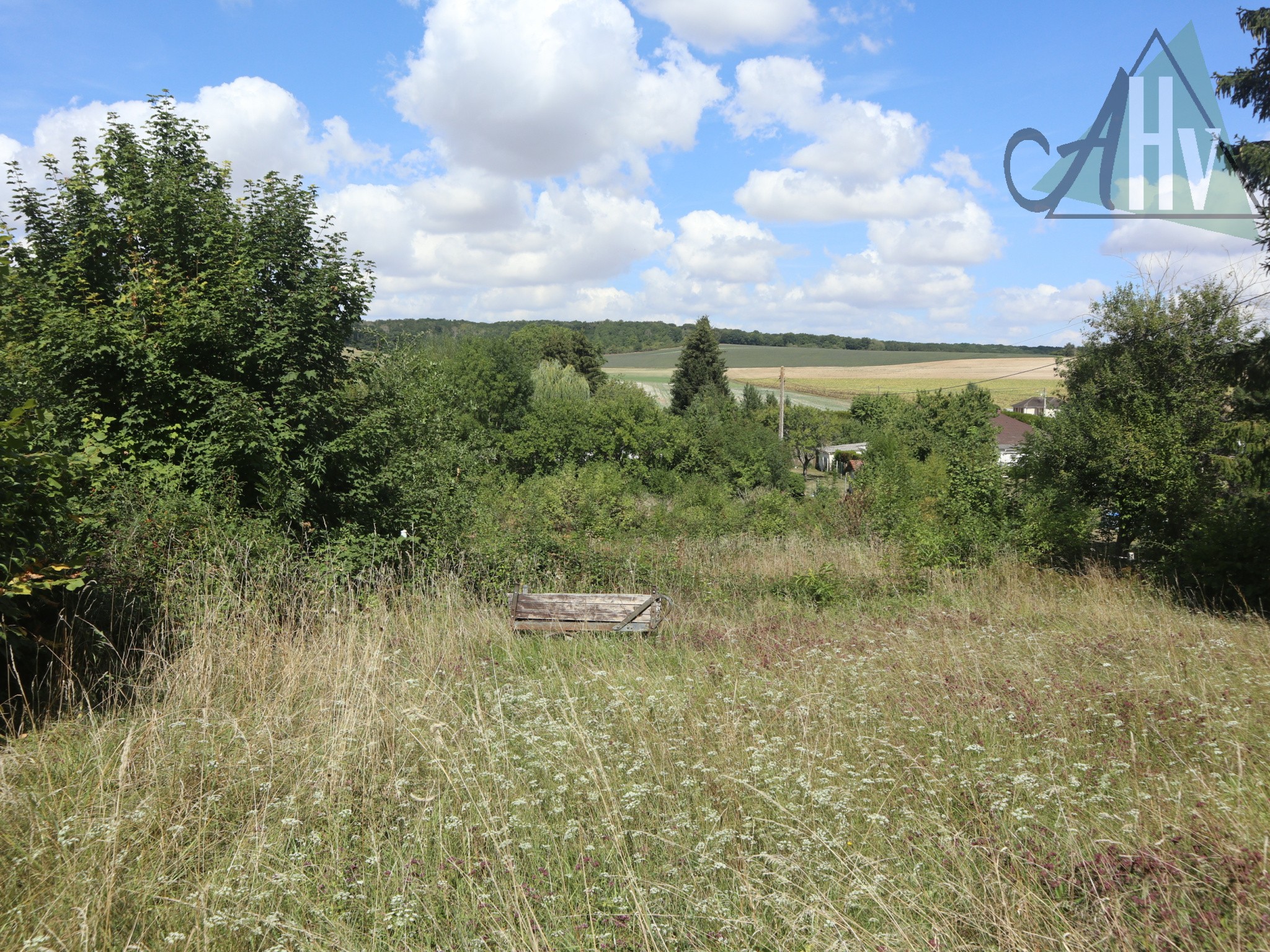 Vente Terrain à Thorigny-sur-Oreuse 0 pièce