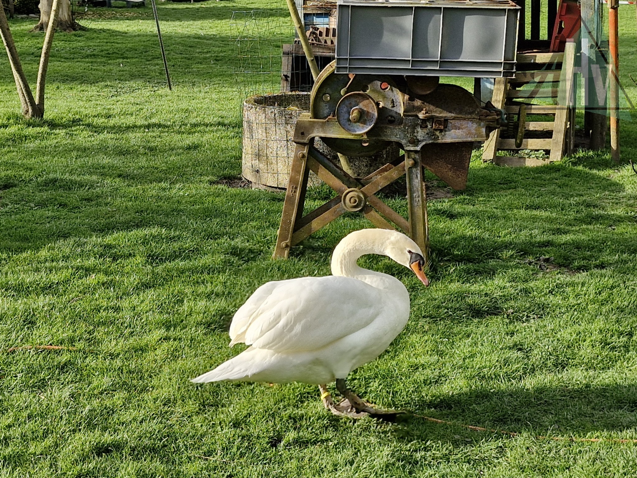 Vente Maison à Esternay 4 pièces