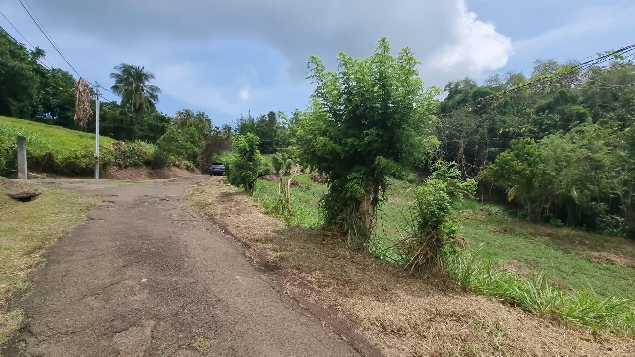 Vente Terrain à la Trinité 0 pièce