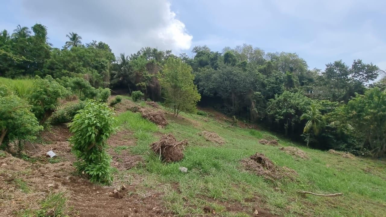 Vente Terrain à la Trinité 0 pièce