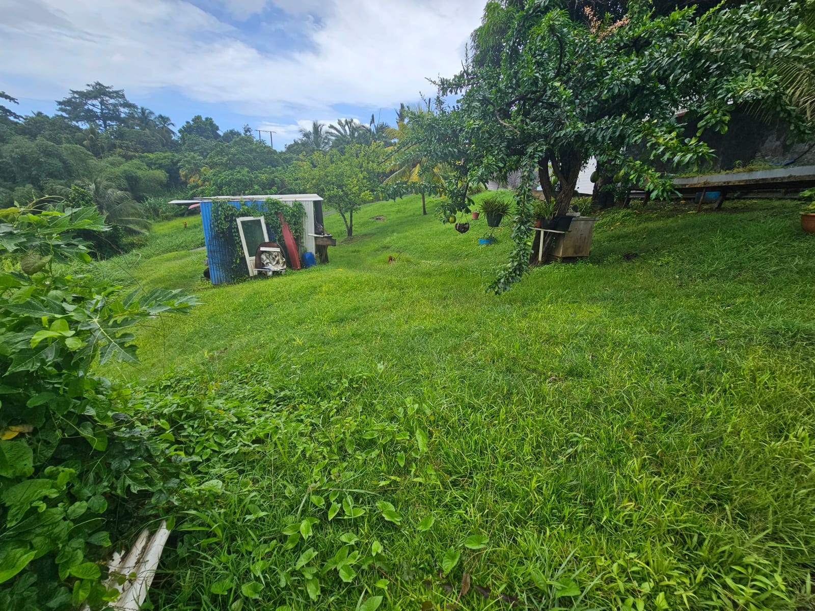 Vente Terrain à Rivière-Pilote 0 pièce