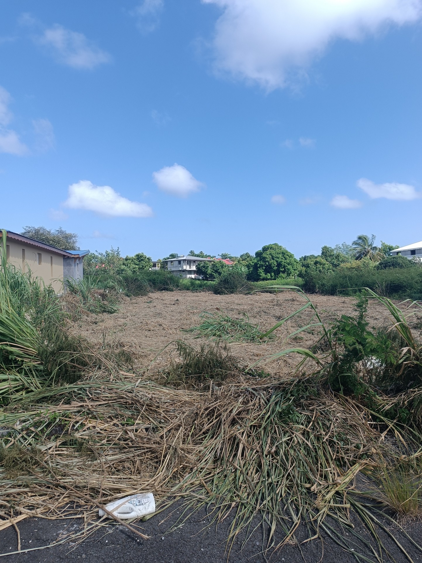 Vente Terrain à Anse-Bertrand 0 pièce