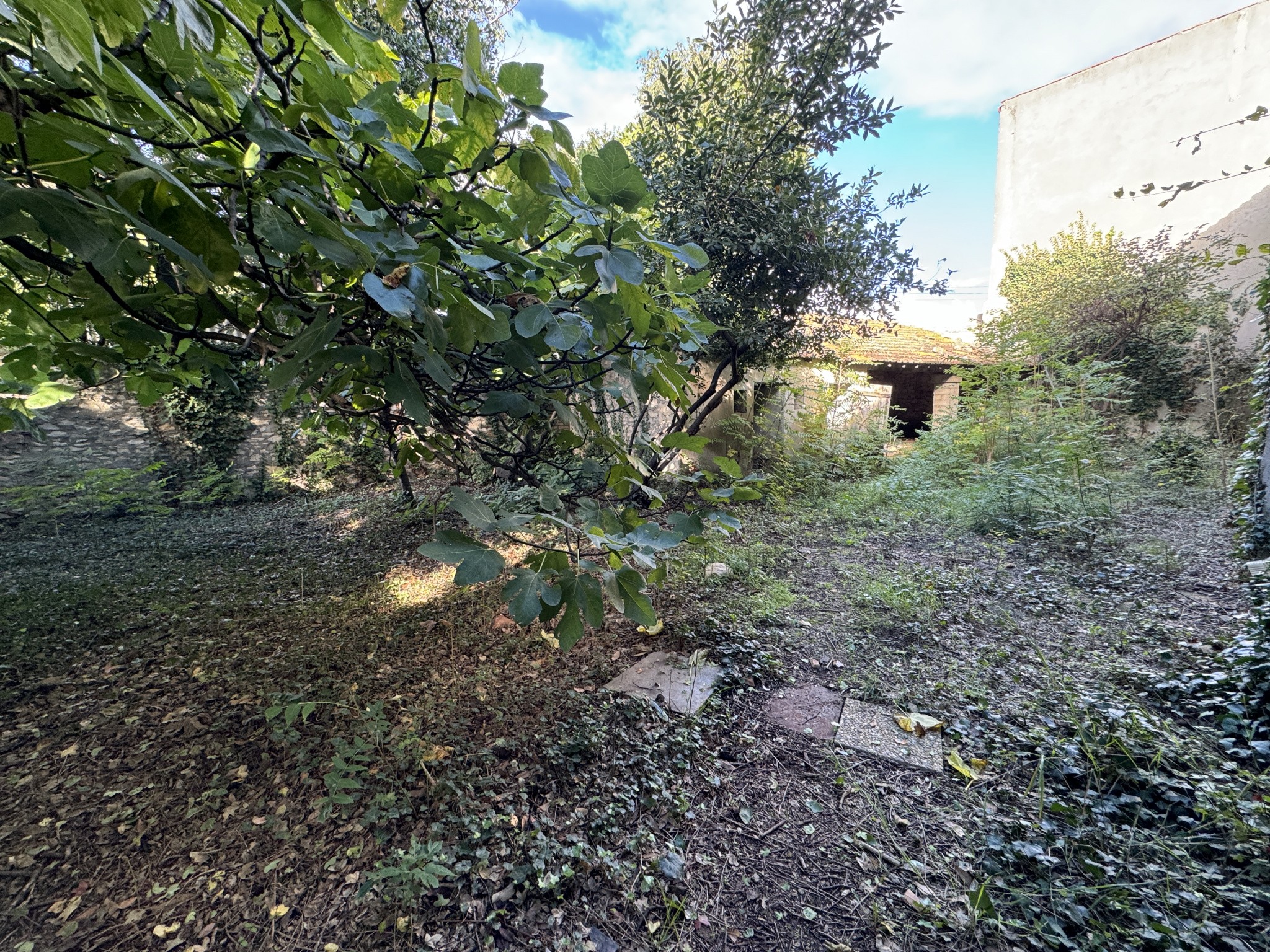 Vente Maison à Nîmes 7 pièces